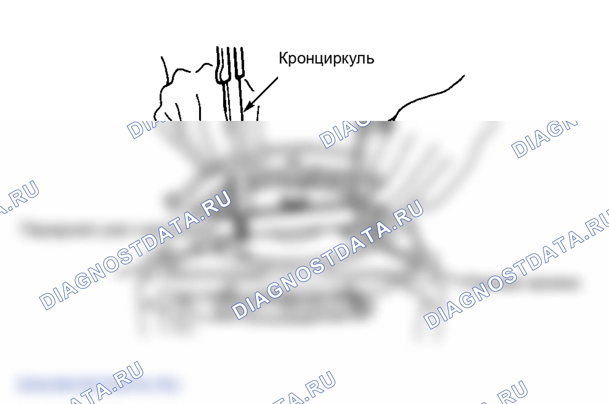 Рис. 44. Isuzu Impulse I