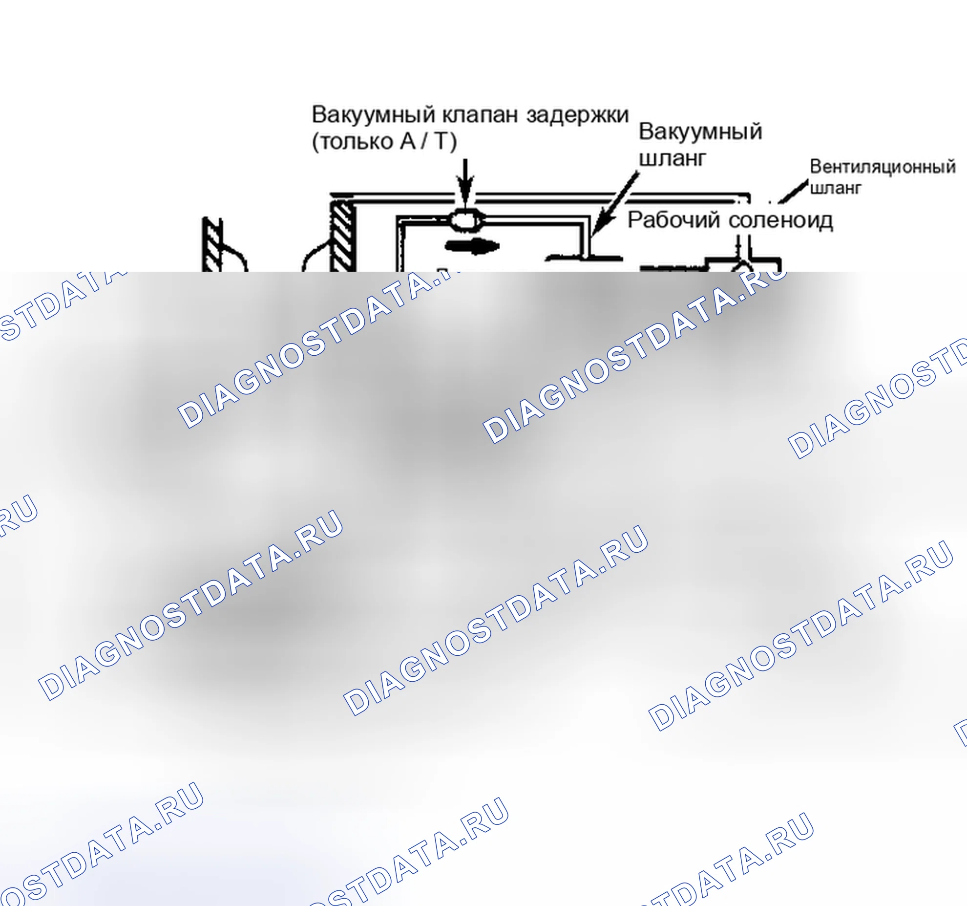 Рис. 1: Система рециркуляция отработавших газов (626). Mazda 626 GC