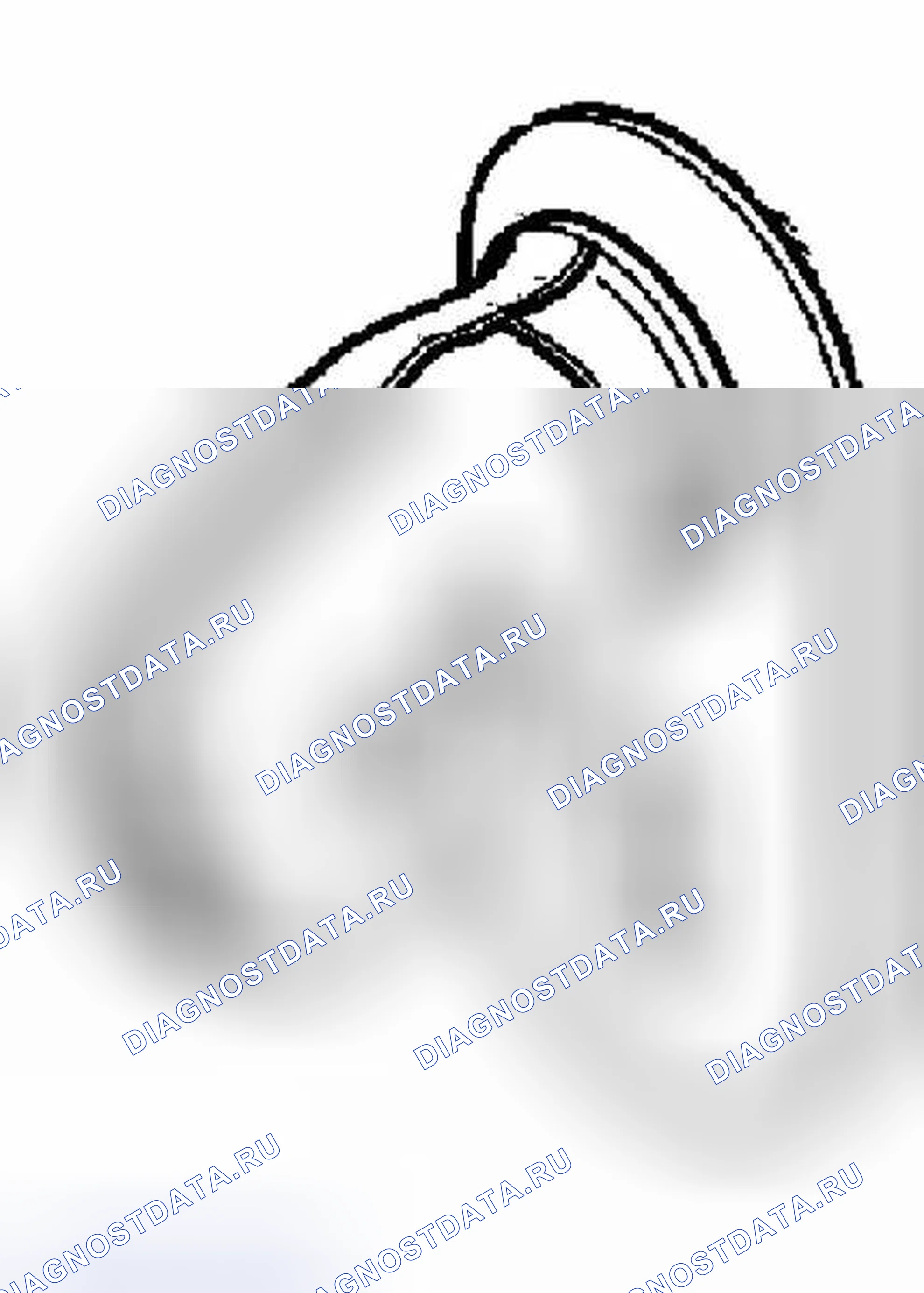 Рис. 79: Принцип работы. BMW M5 E39