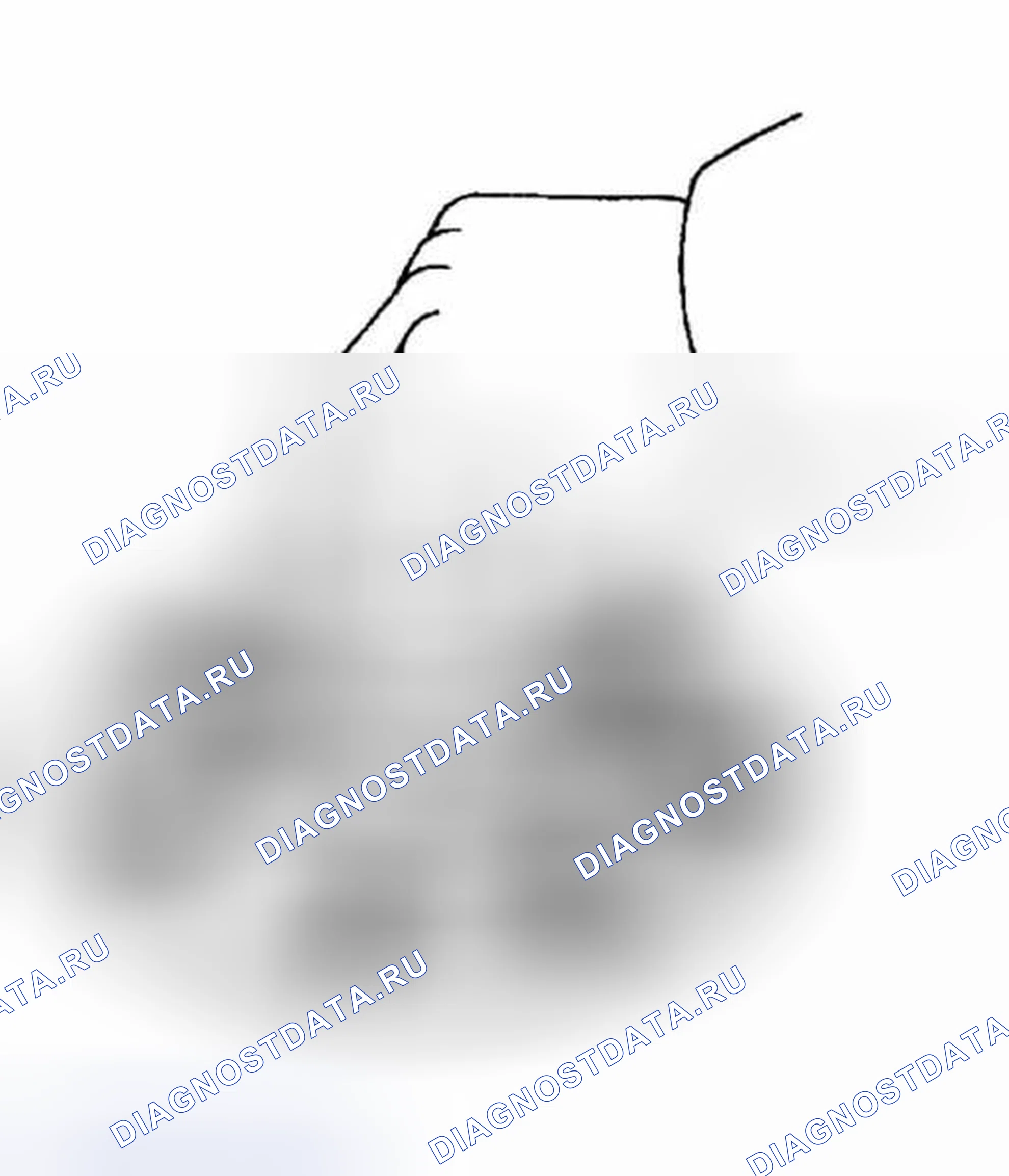 Рис. 80: ПРОЦЕДУРА КОНТРОЛЯ. Haval H5 I