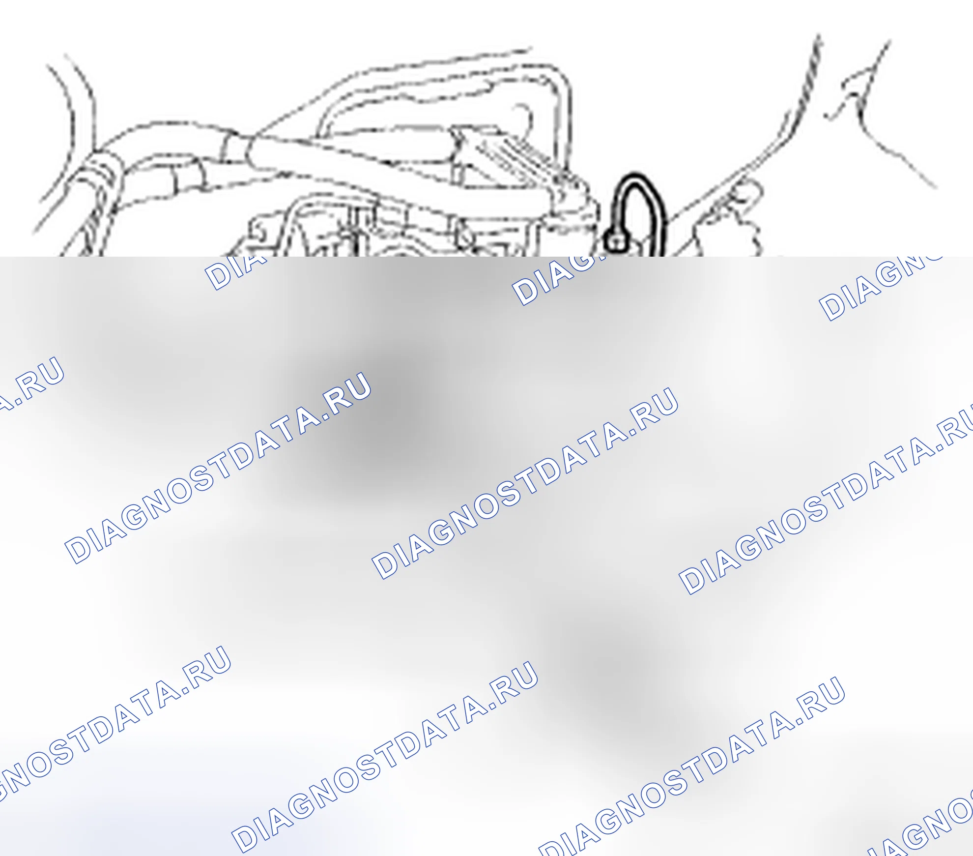 Рис. 204. Toyota Camry XV40