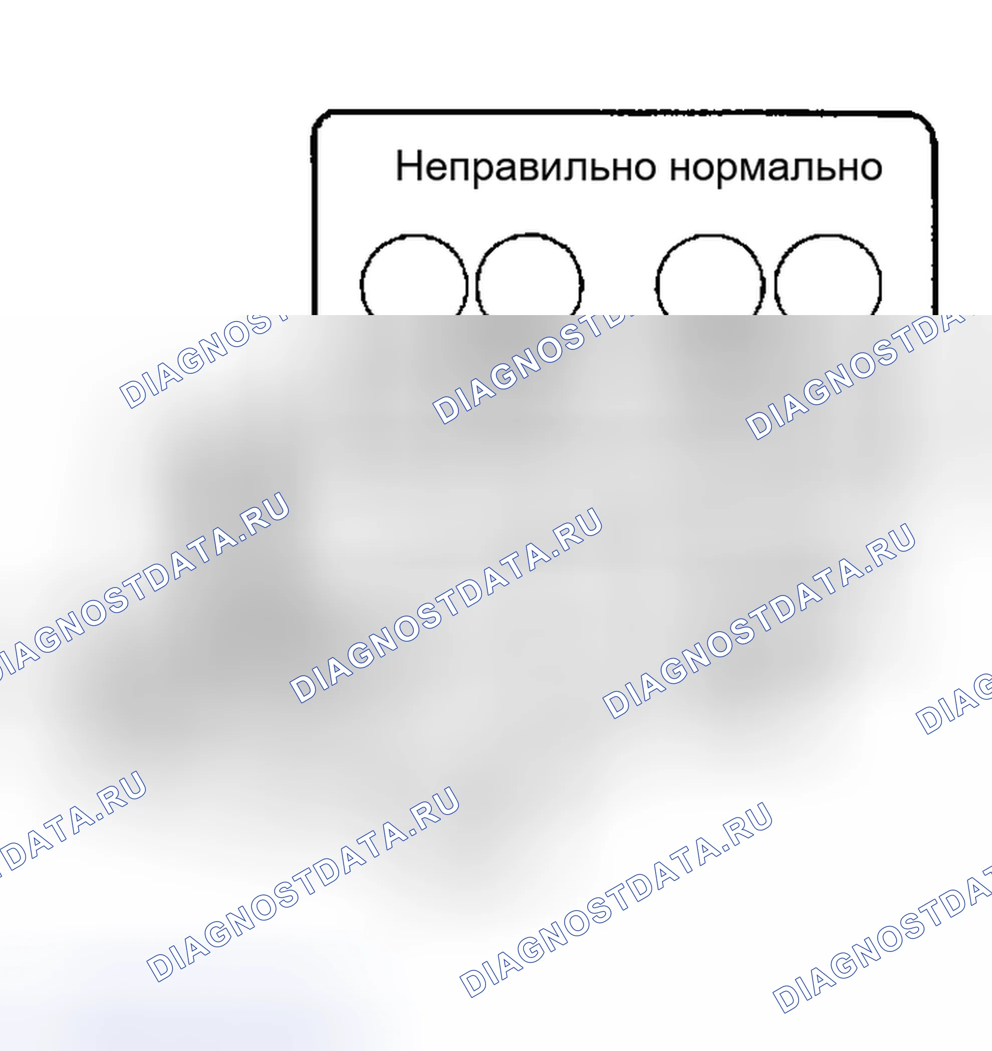 Рис. 3. Haval Menglong I