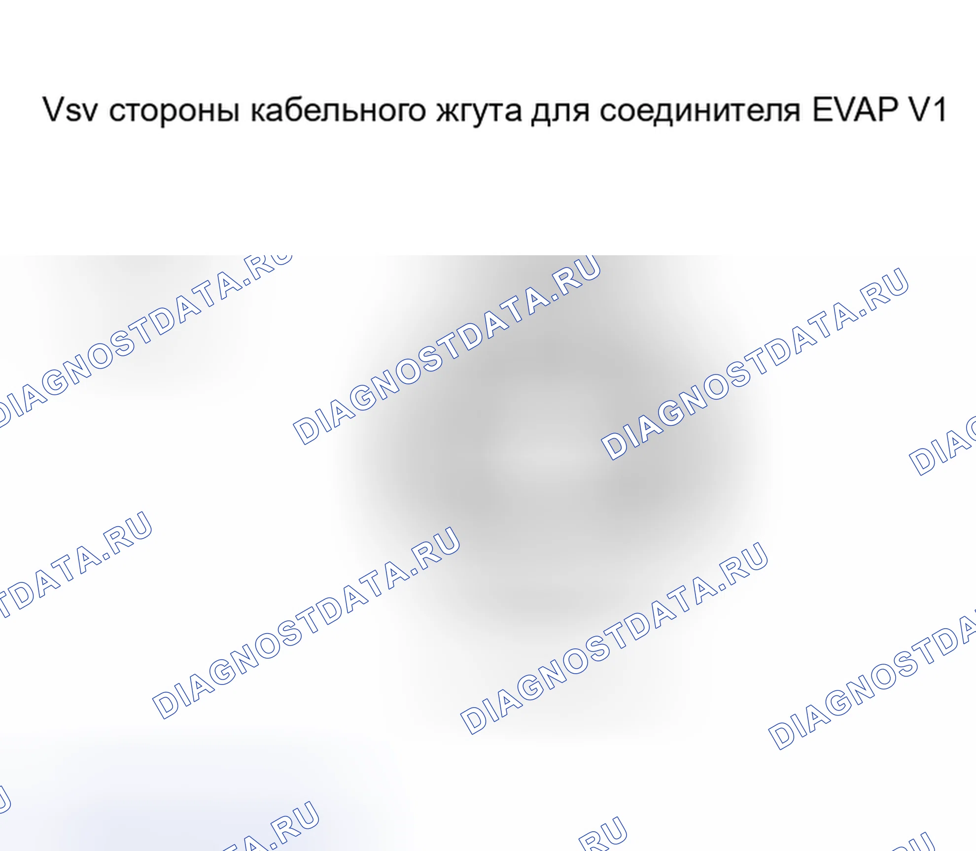 Рис. 213. Scion xB I