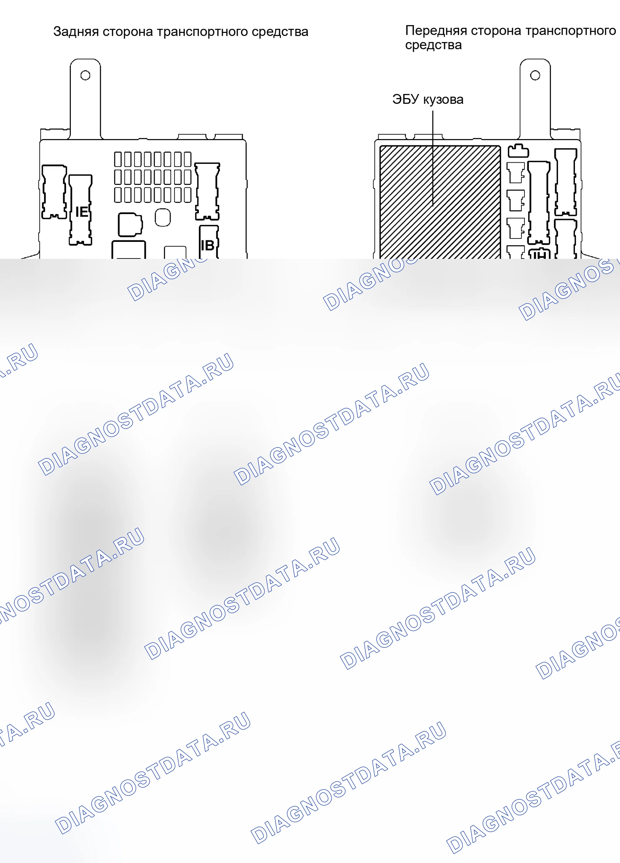 Рис. 2: КЛЕММЫ ЭБУ. Honda Accord VI