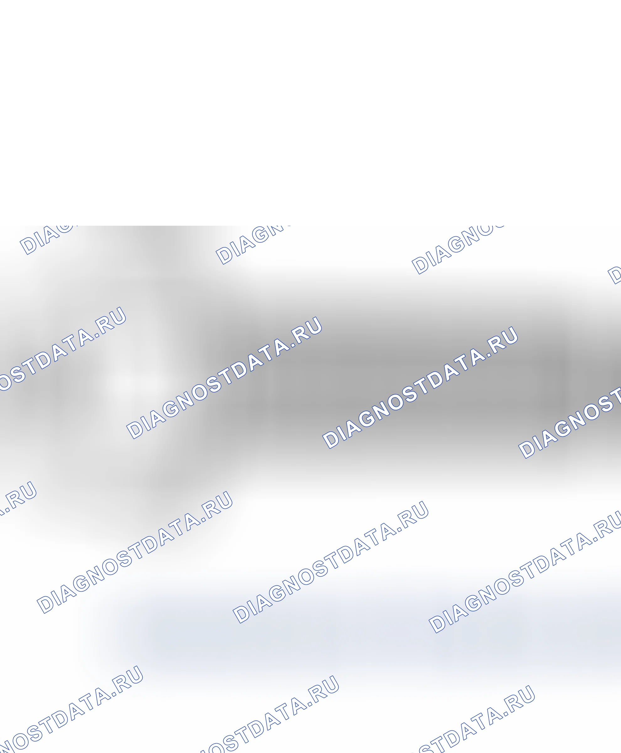 Общая информация. Hyundai Santafe Sport DMA