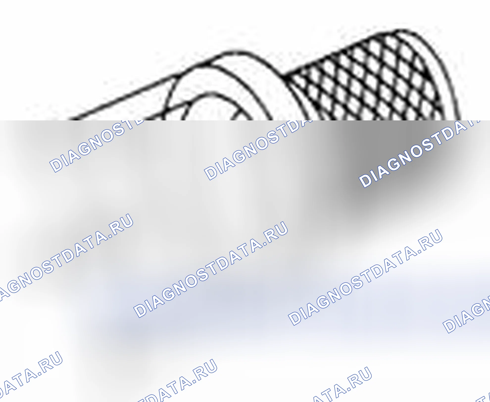 Рис. 206. Suzuki Equator I