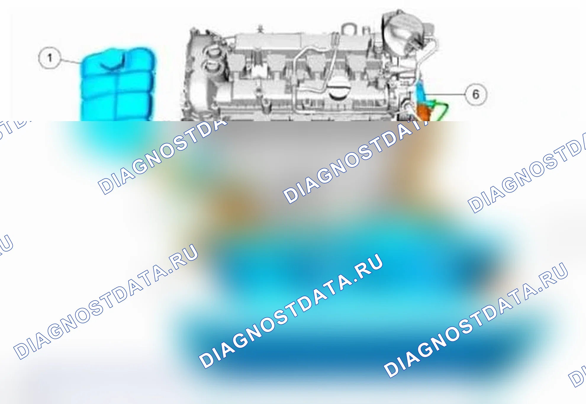 Рис. 47: Охлаждение двигателя - расположение компонентов. Ford Focus III