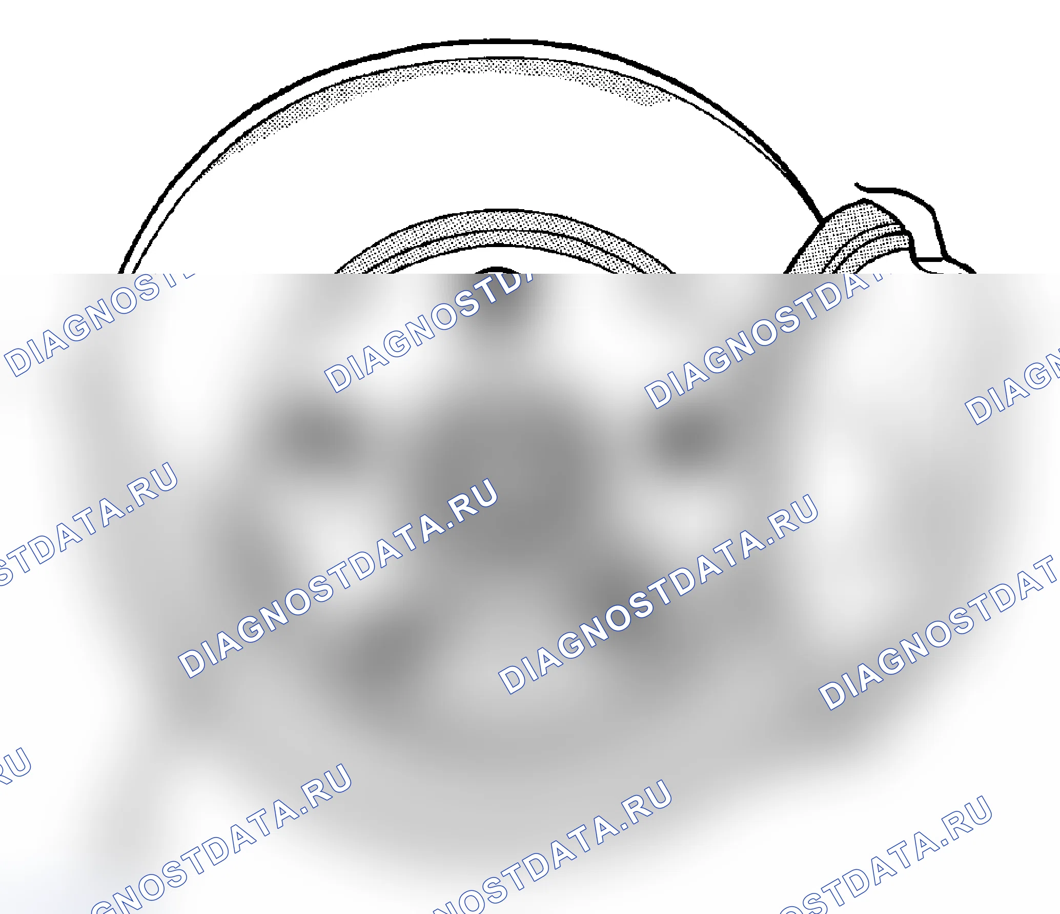 Рис. 61. Chrysler Pacifica CS