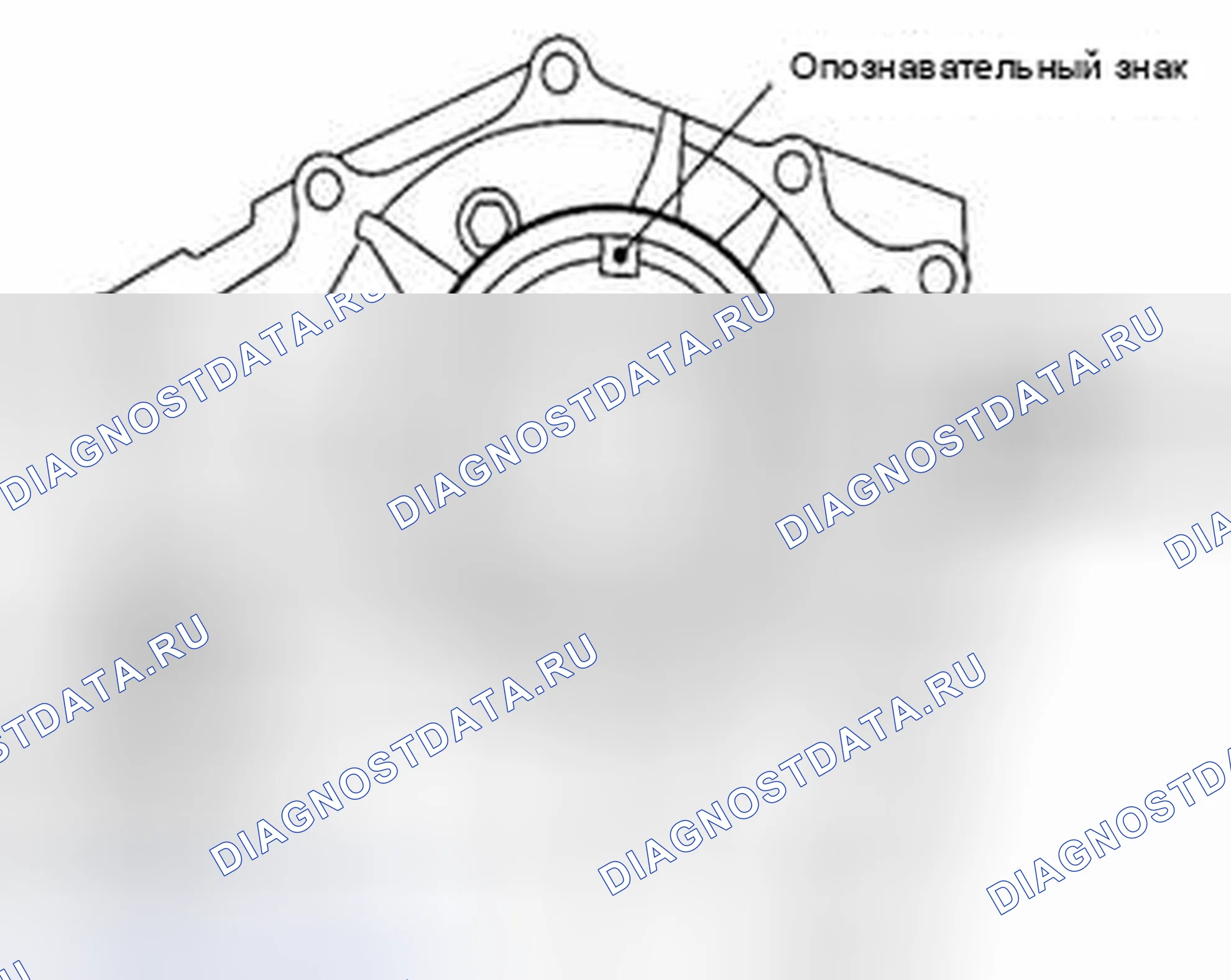 Рис. 115. Suzuki Equator I