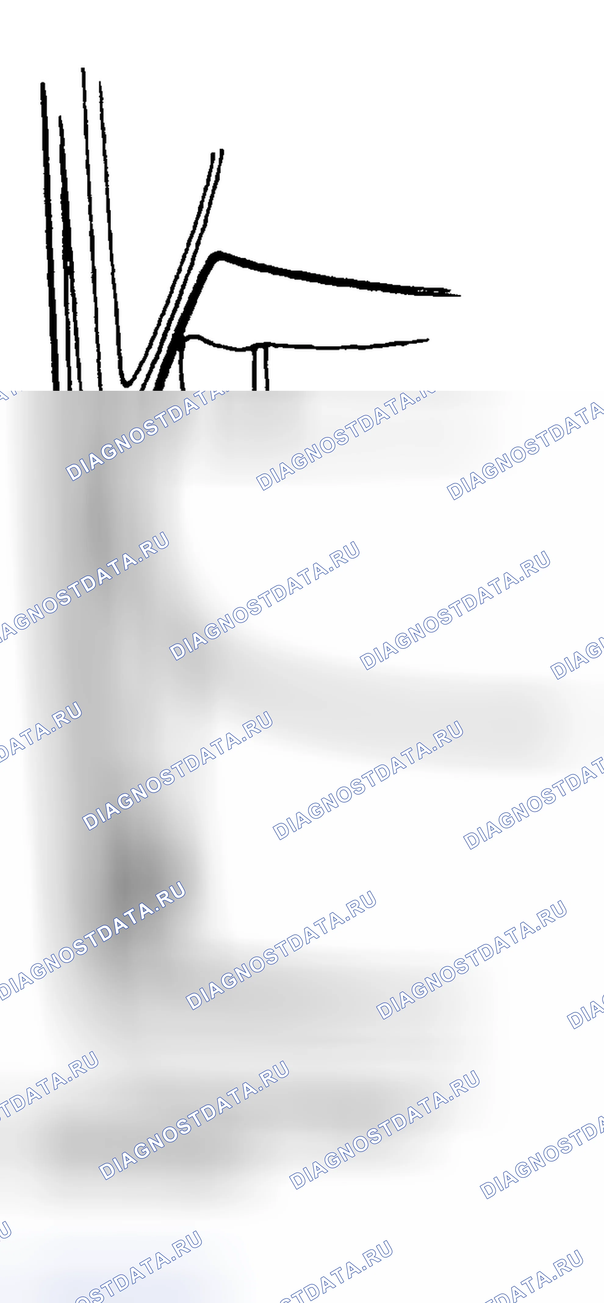 Рис. 4. Honda Accord V