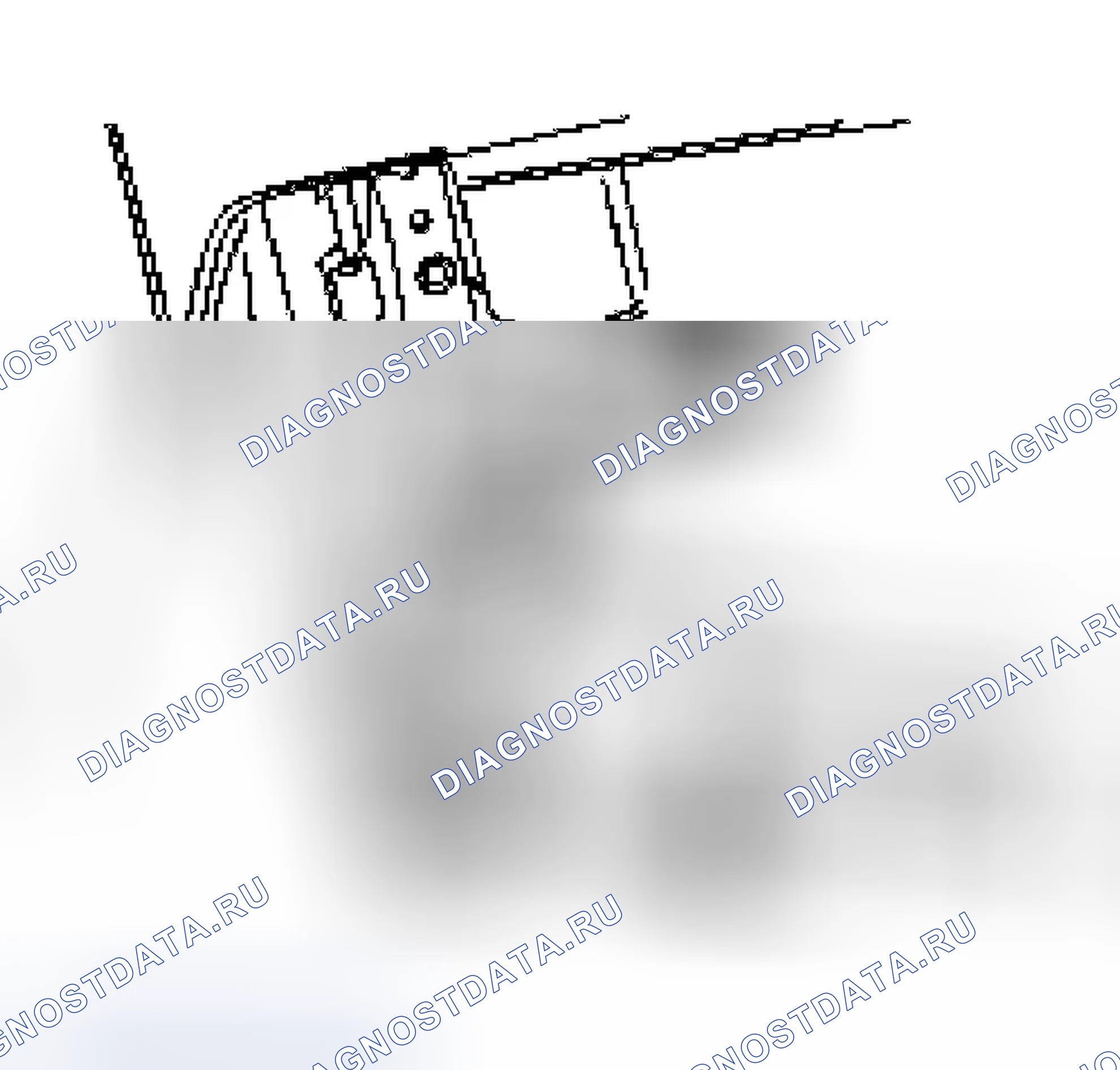 Рис. 181. Ford Crown Victoria II