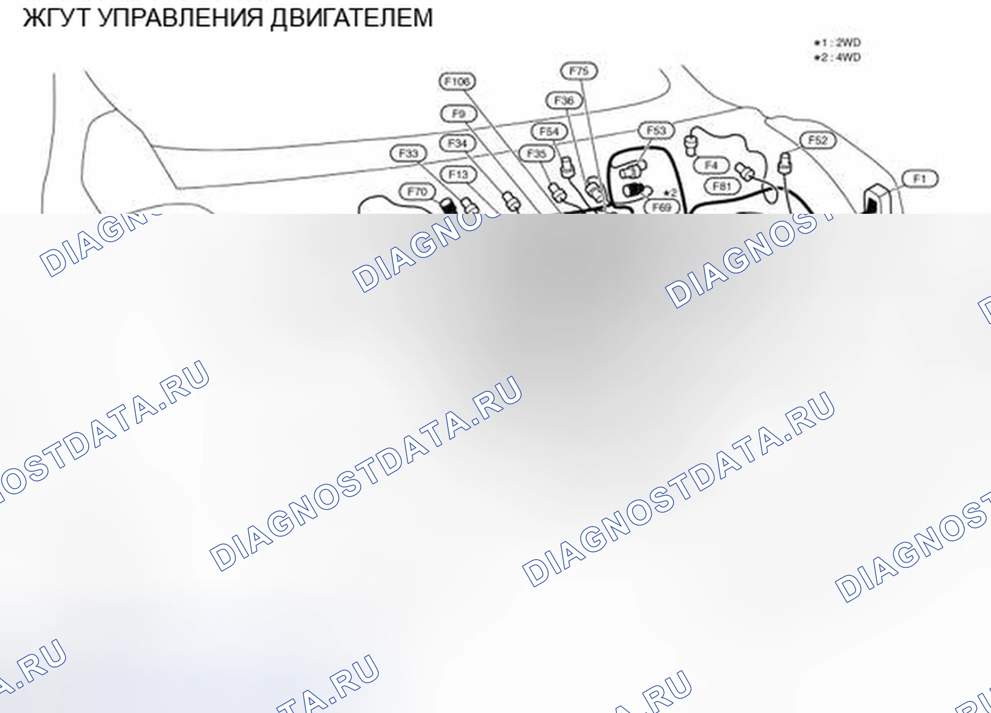 Рис. 32: Жгут управления двигателем. BMW 4 серия F32/F33 рестайлинг