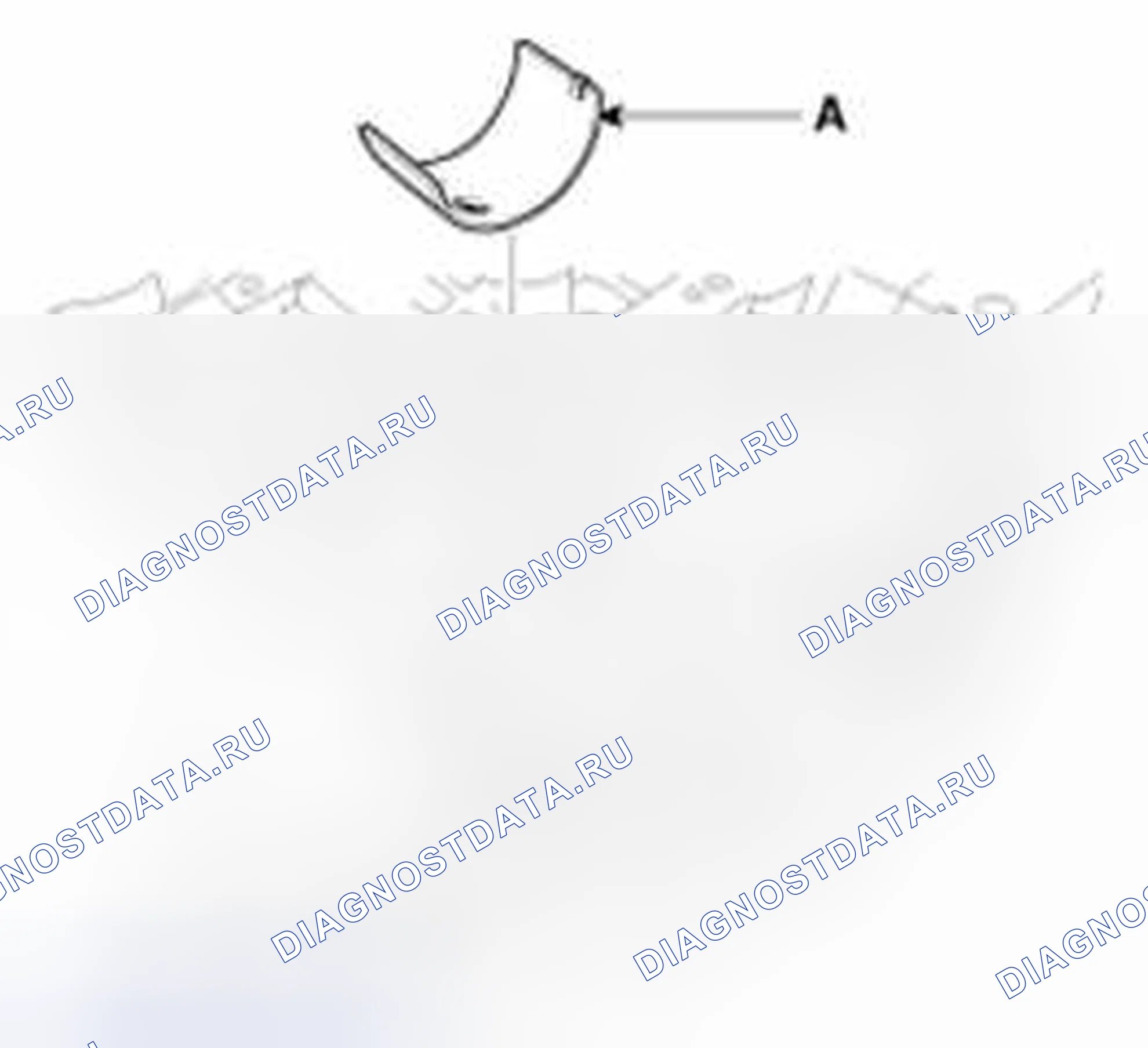 Рис. 214. Haval Beast (Shenshou) I