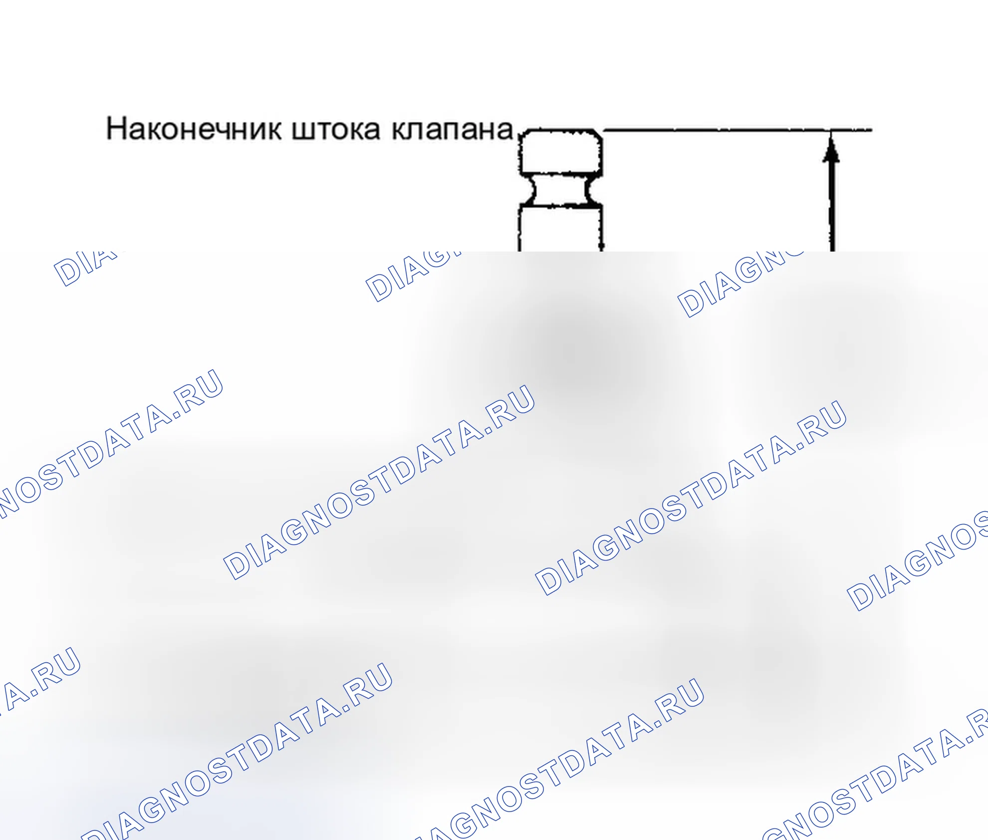 Рис. 24. Dodge Dakota WS 