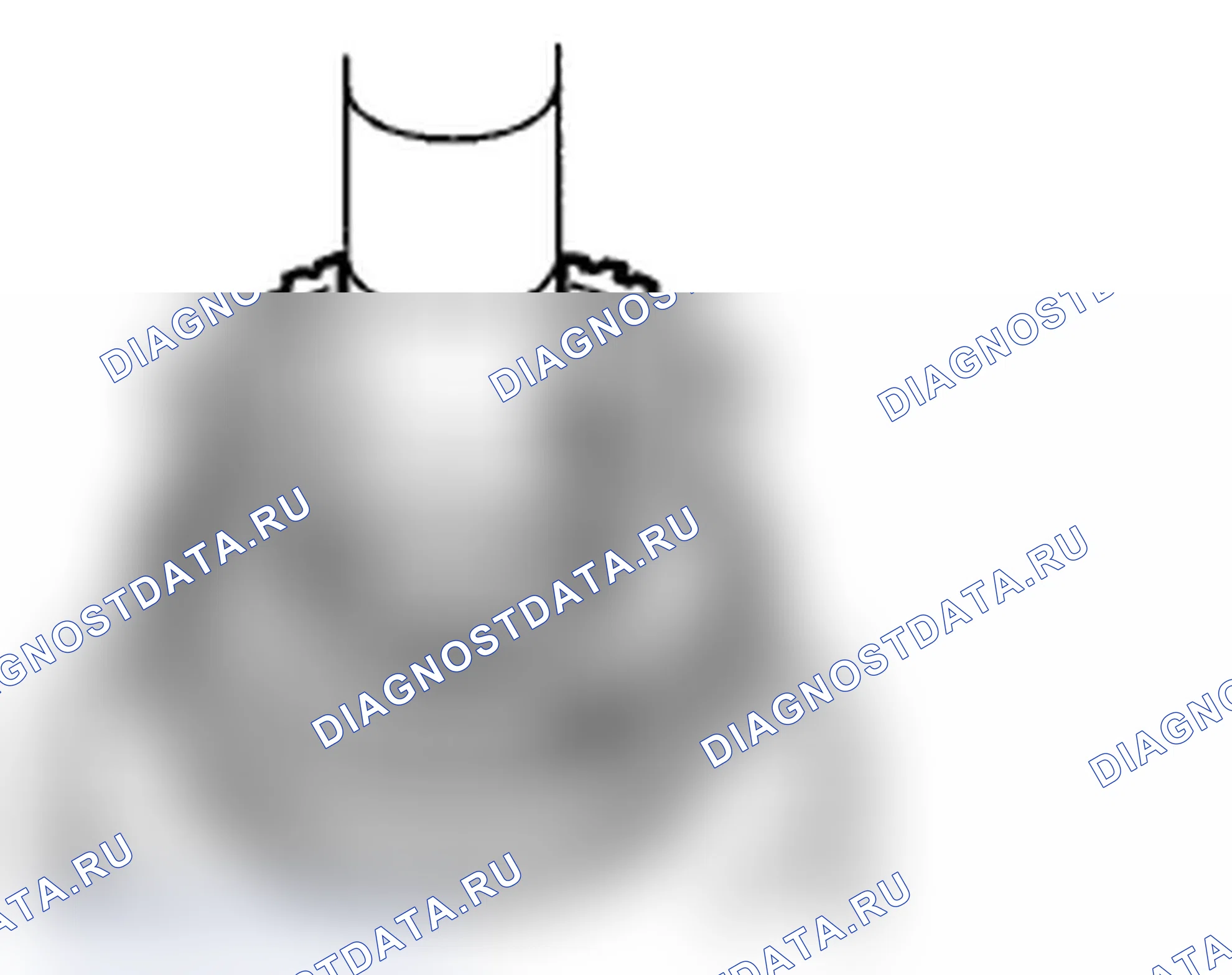Рис. 178. Subaru Impreza WRX STI GR