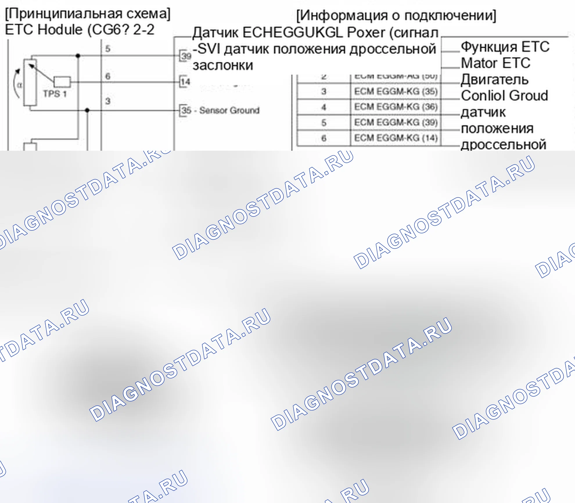 Рис. 152: (М / Т). BMW 6 серия F06/F13/F12