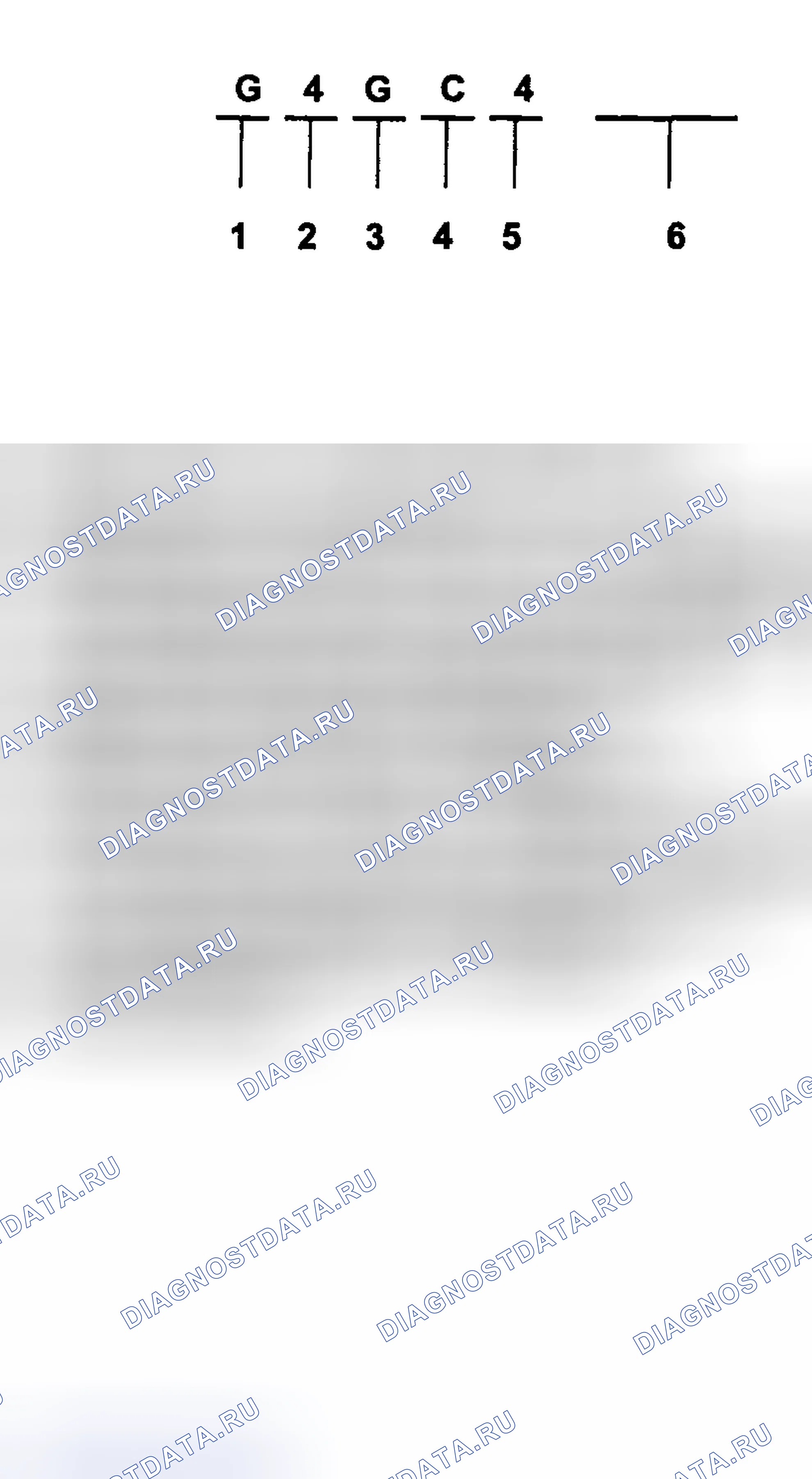 Рис. 3. Haval Chitu I