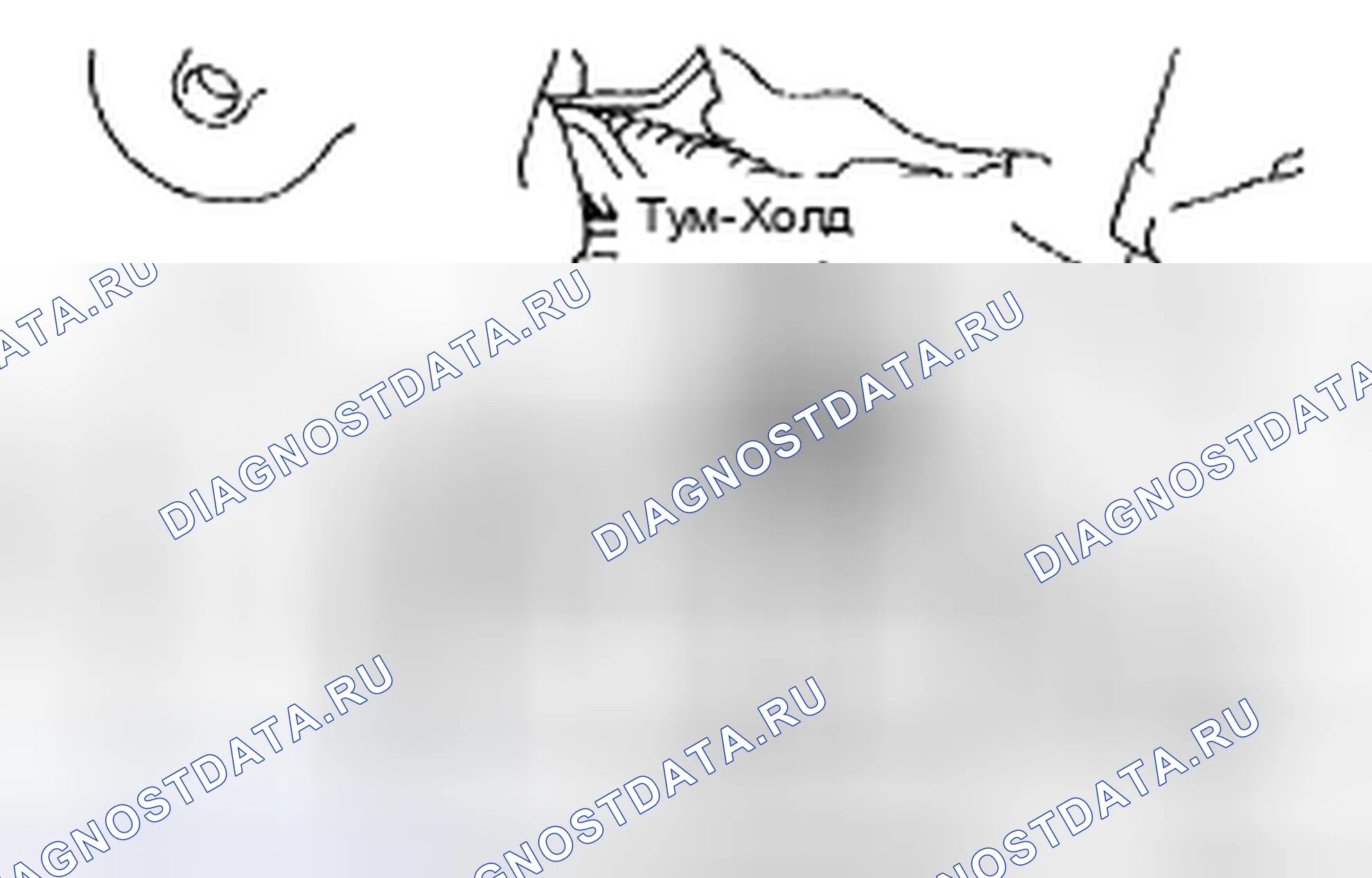 Рис. 25. Toyota 4Runner IV рестайлинг