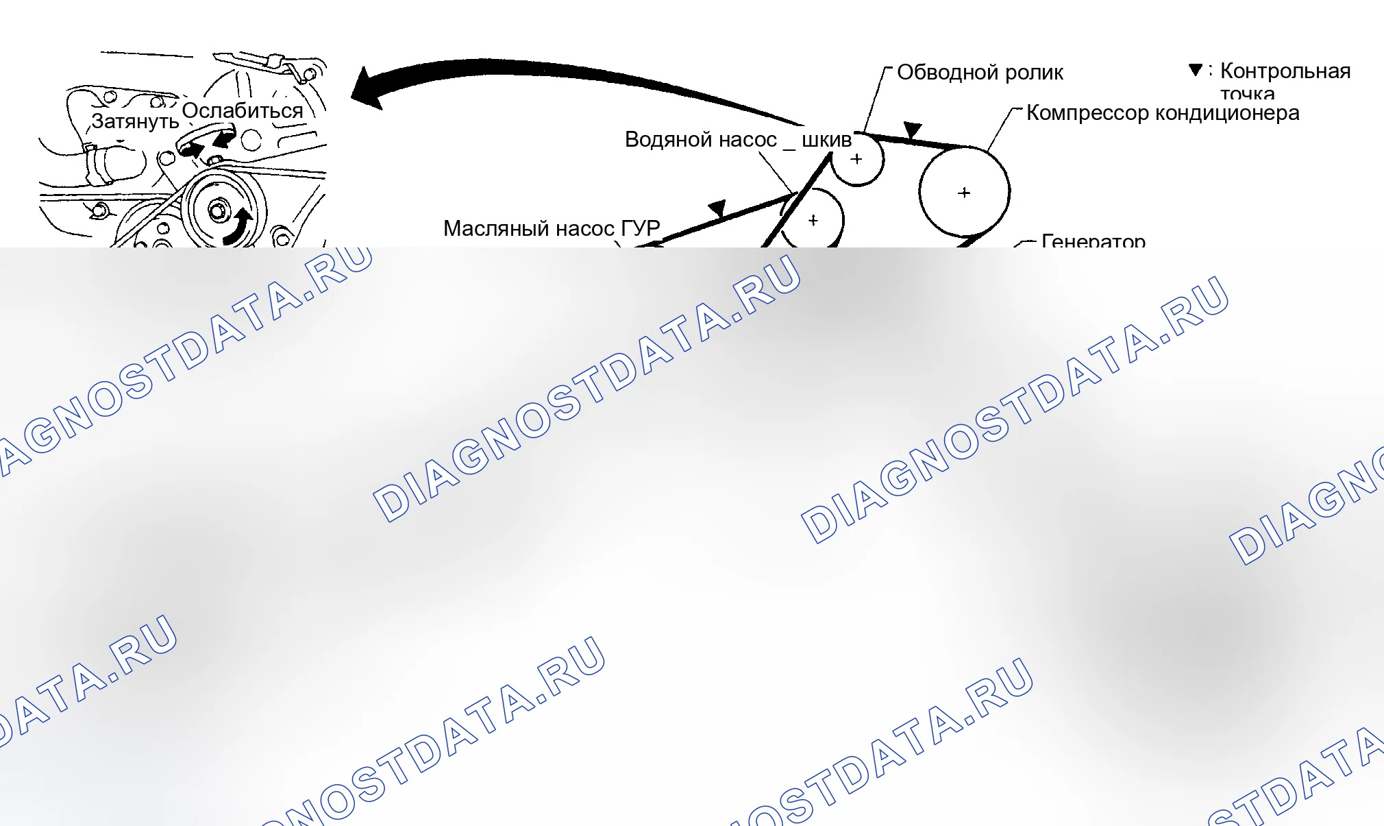 Рис. 1: Трассировка приводного ремня (MAXIMA). Nissan Quest I