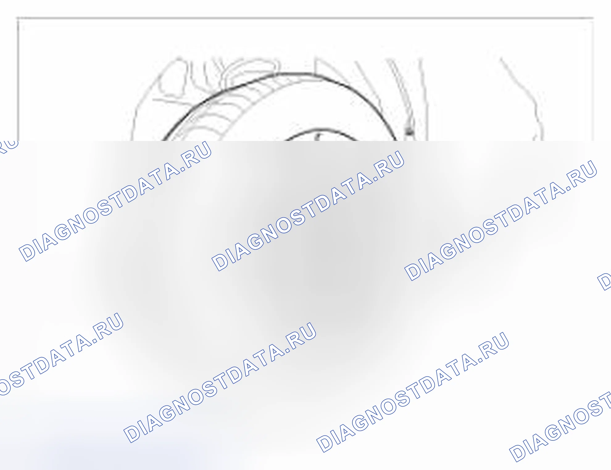 Рис. 7: Замена. BMW 6 серия F06/F13/F12