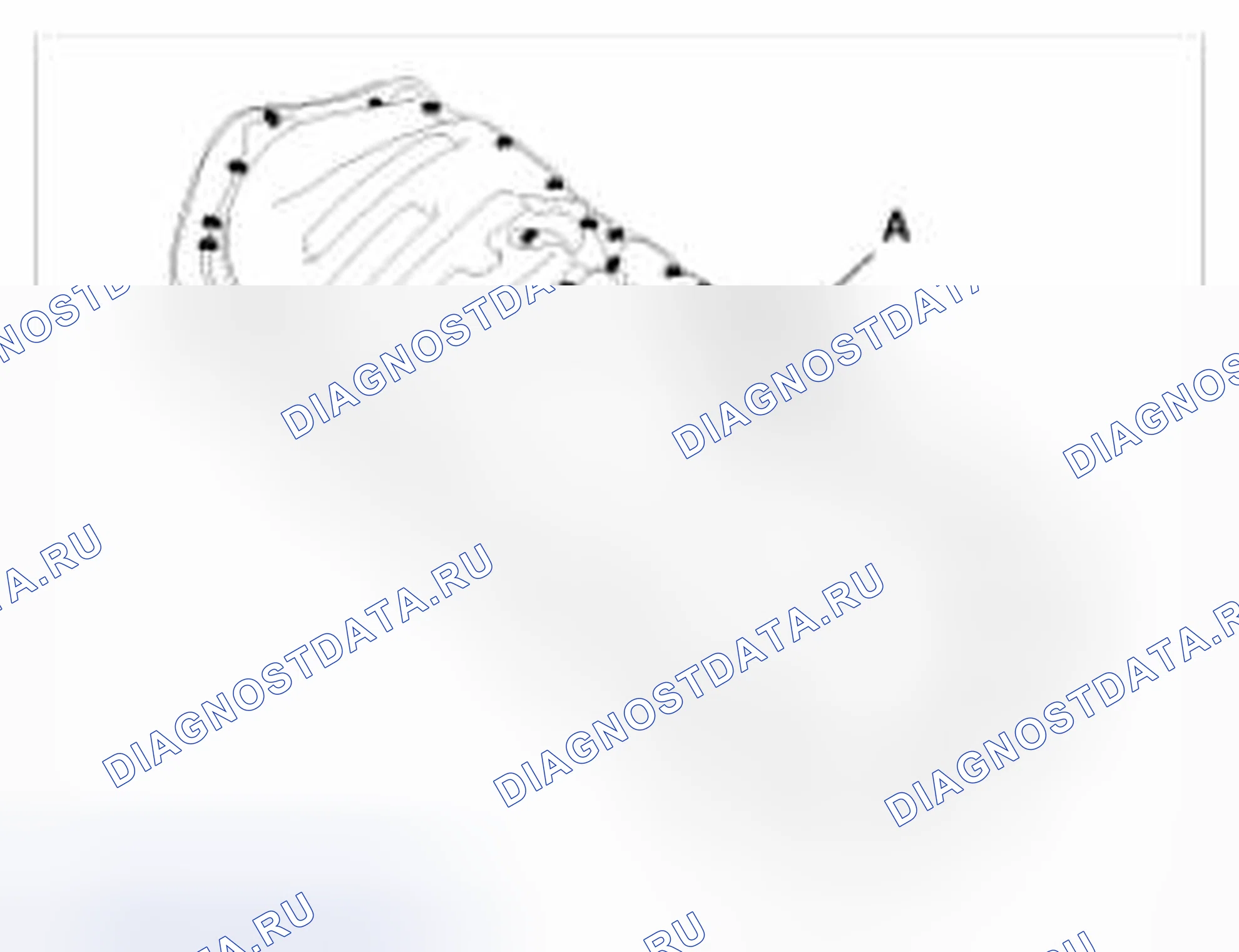 Рис. 35. BMW 6 серия F06/F13/F12