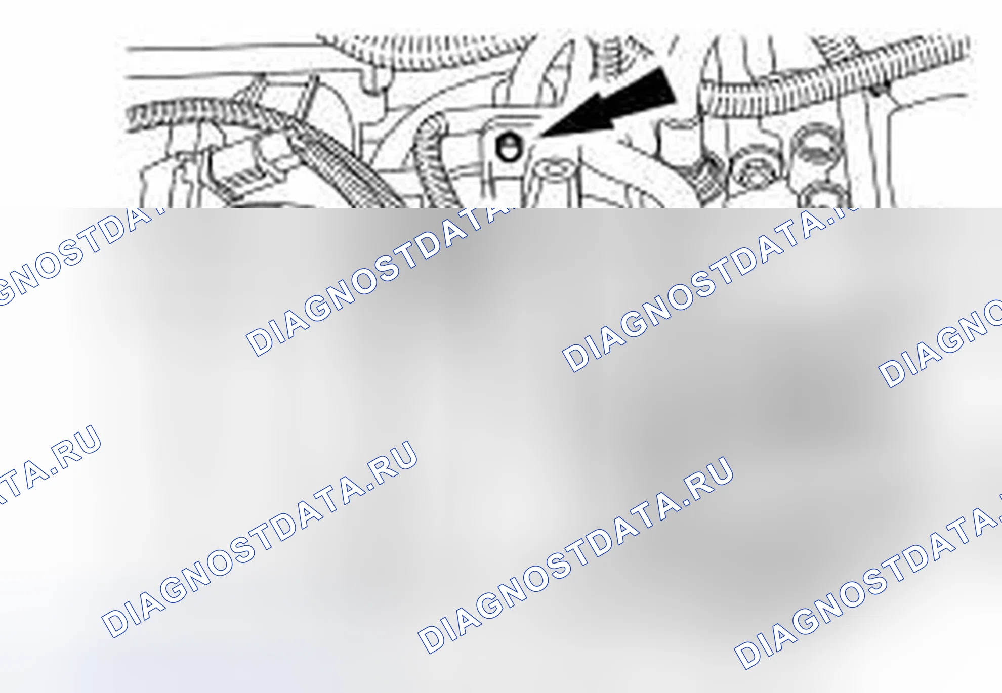 Рис. 263. Ford Focus II
