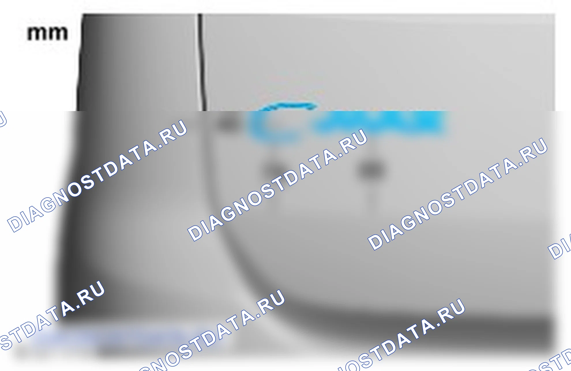 Наружная отделка: описание и работа. Ford Grand C-MAX II рестайлинг