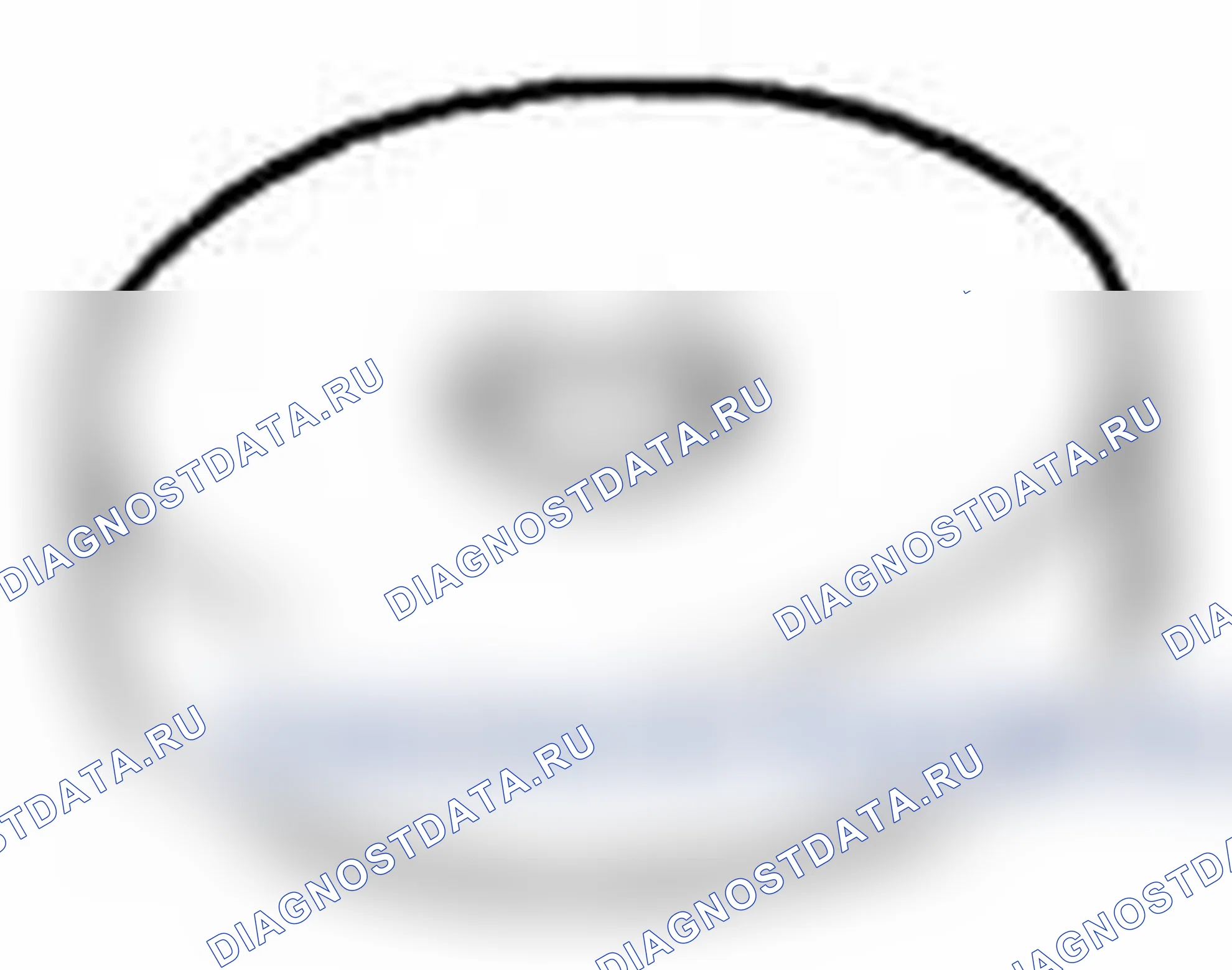 Рис. 211. Suzuki Grand Vitara II рестайлинг 2