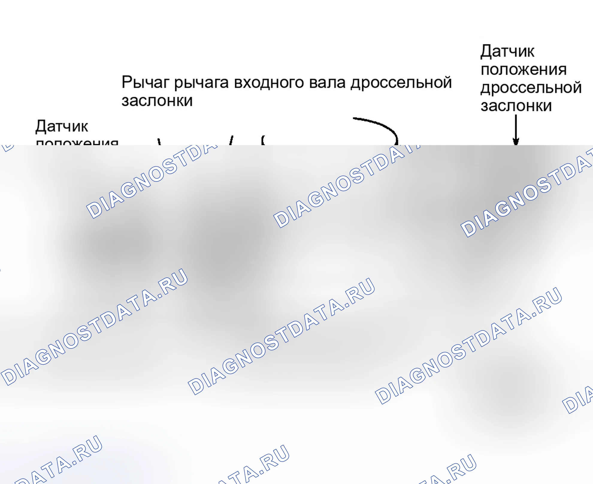 Рис. 1: XJ8, XK8, Xjr и Xkr. Jaguar S-type I