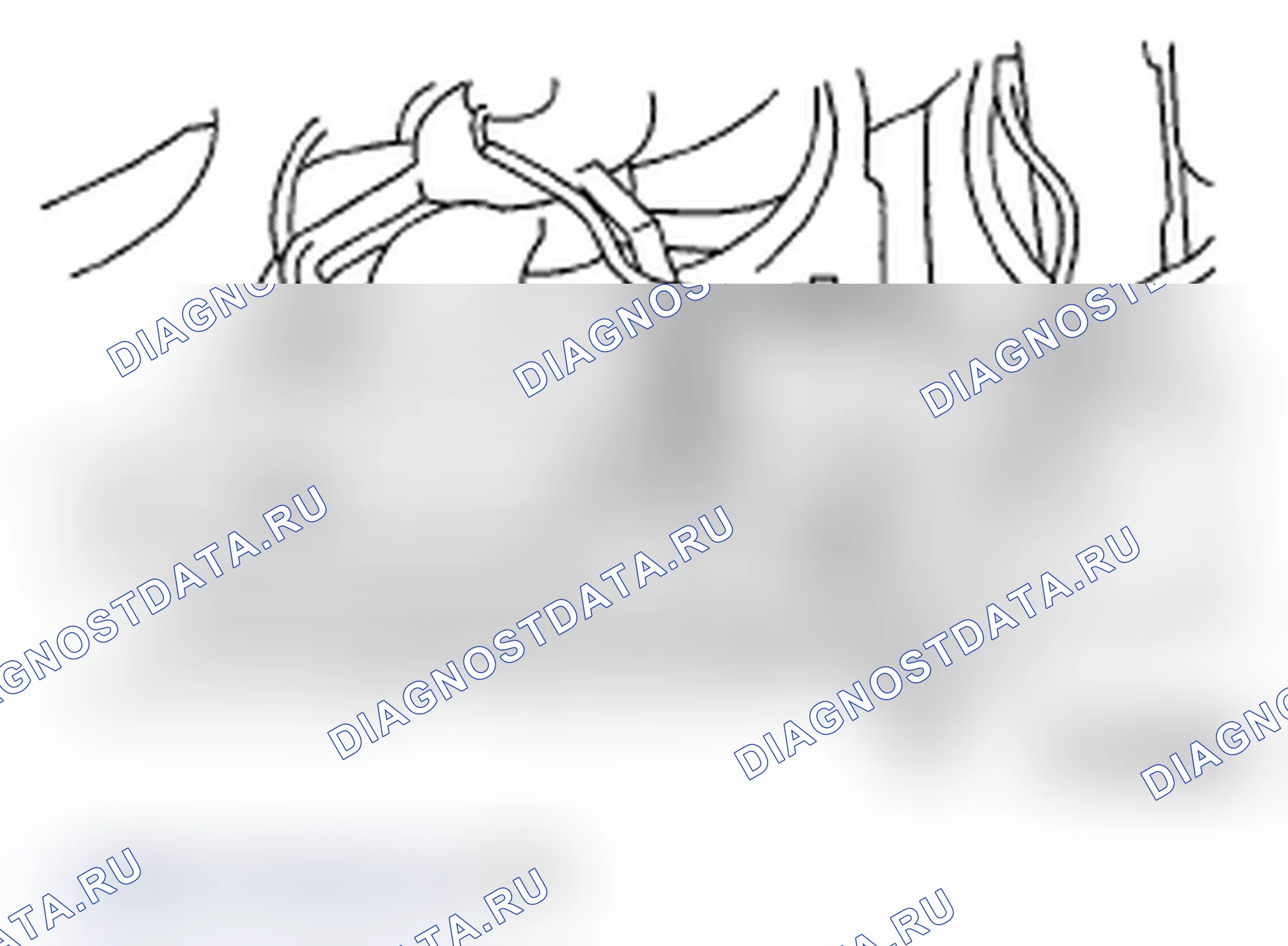 Рис. 28: СЛИВ ОХЛАЖДАЮЩЕЙ ЖИДКОСТИ ДВИГАТЕЛЯ. Subaru Impreza WRX GH
