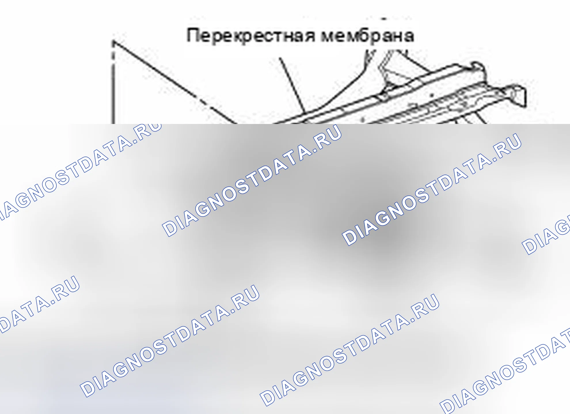 Рис. 37. Nissan X-Trail I