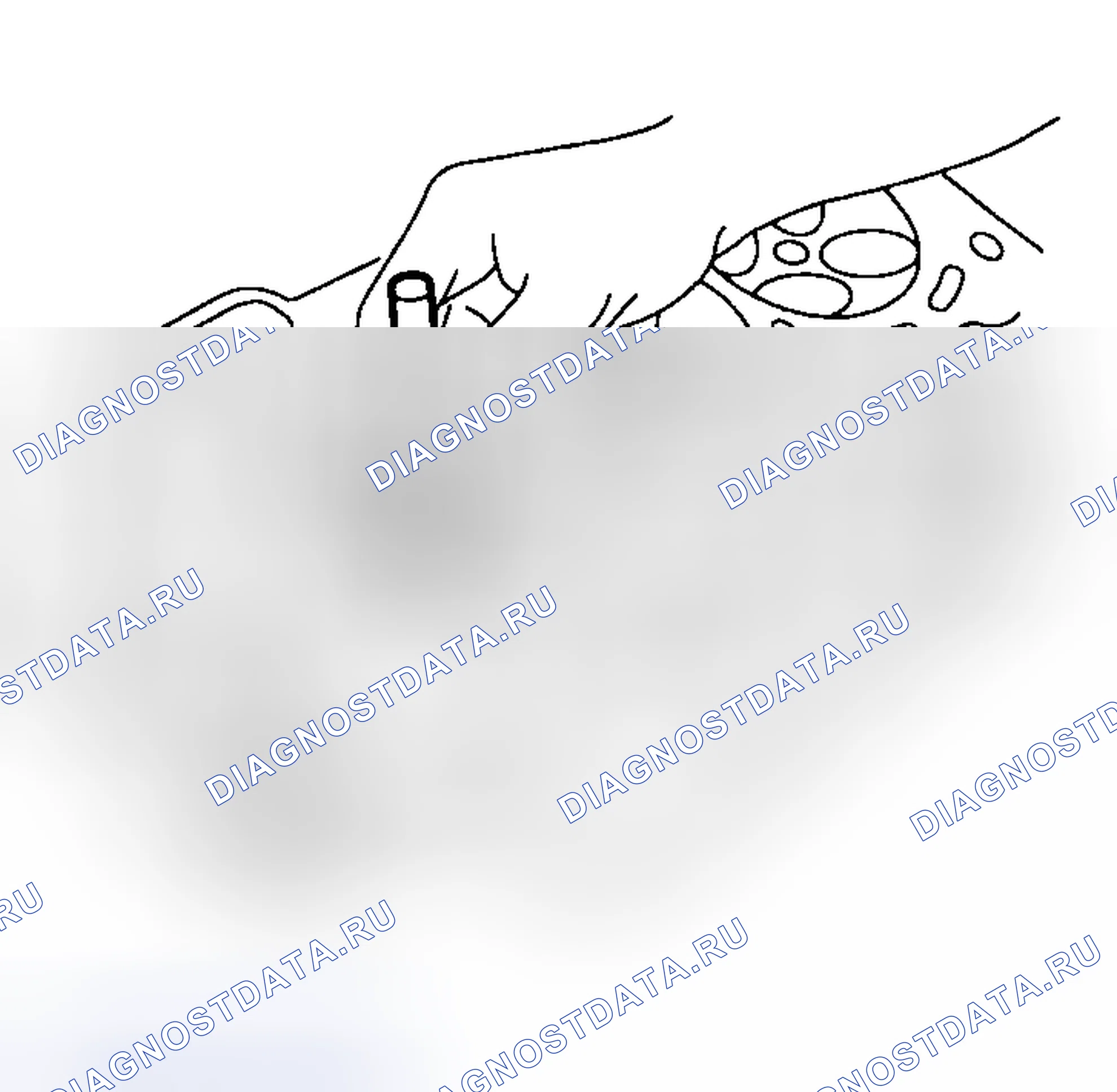 Рис. 217. Subaru Outback BH