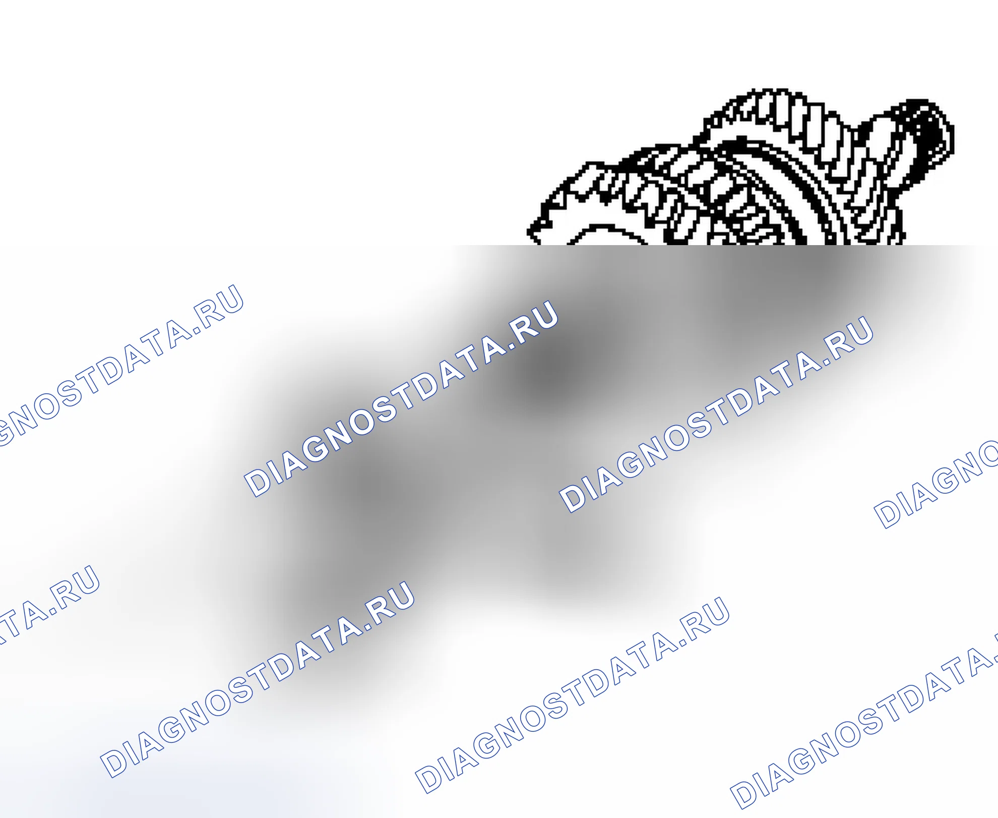 Механическая коробка передач -T50D: Прочее. Ford Mustang IV рестайлинг