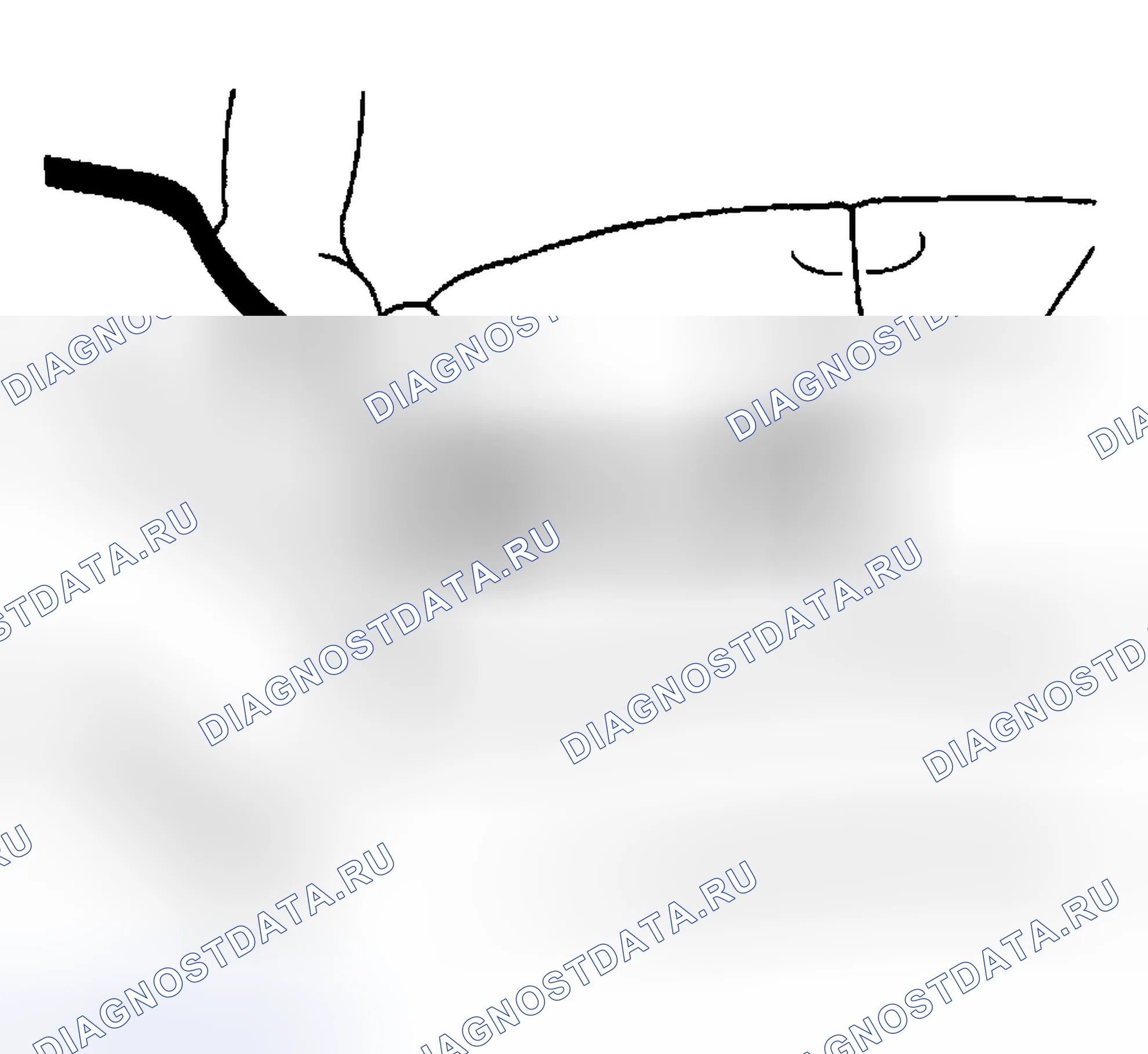 Рис. 164. Hyundai Venue I