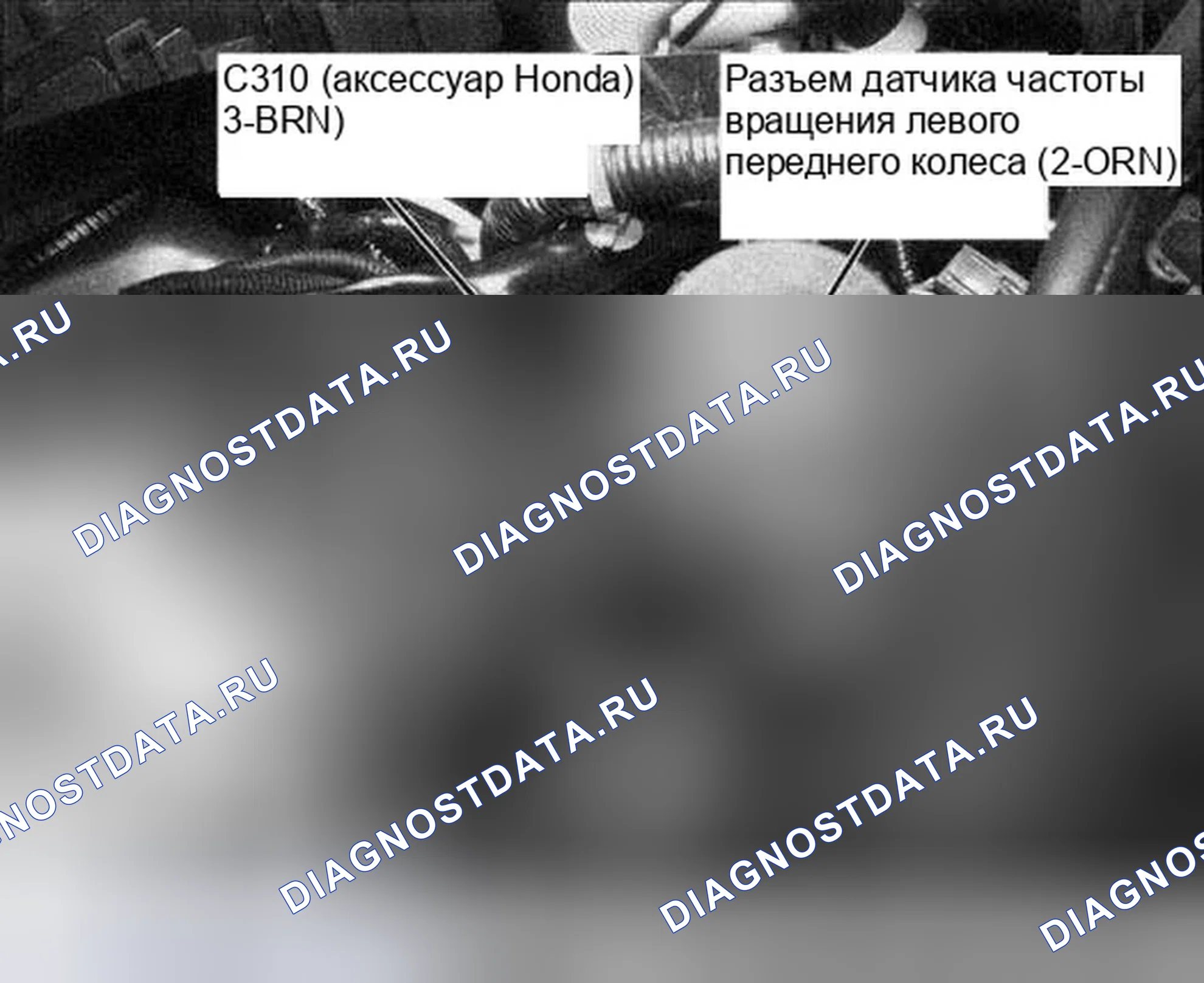 Рис. 29. Honda Accord VII рестайлинг