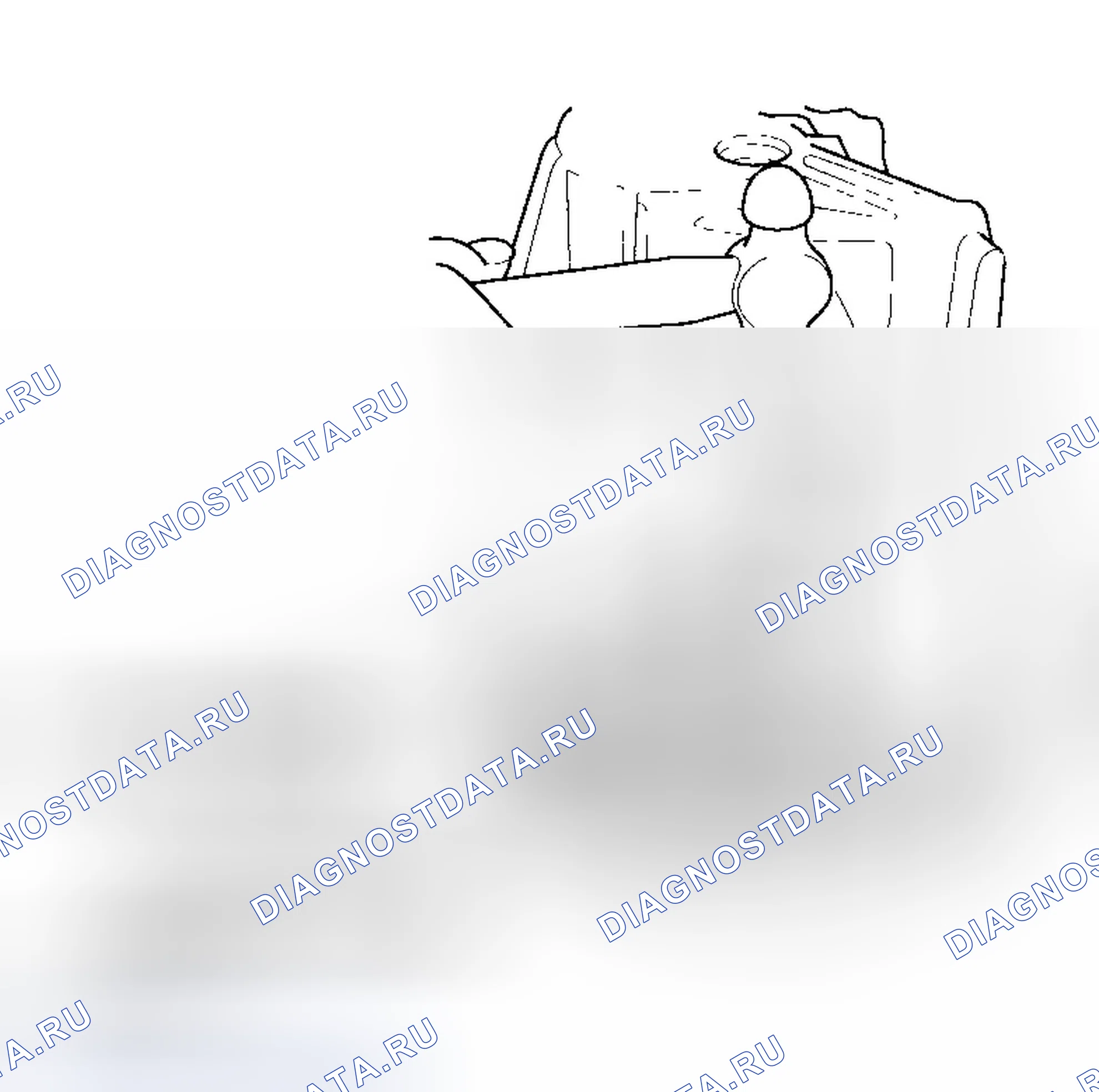 Рис. 146. Honda Element YH2