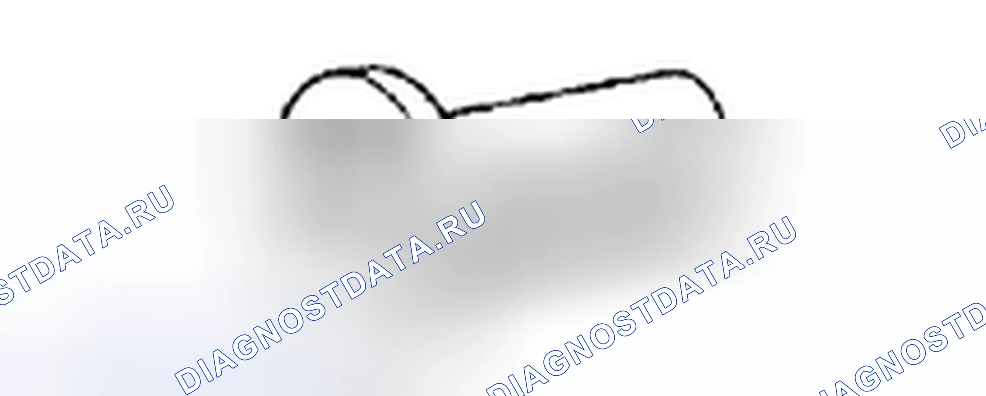 Рис. 2. Scion xD I