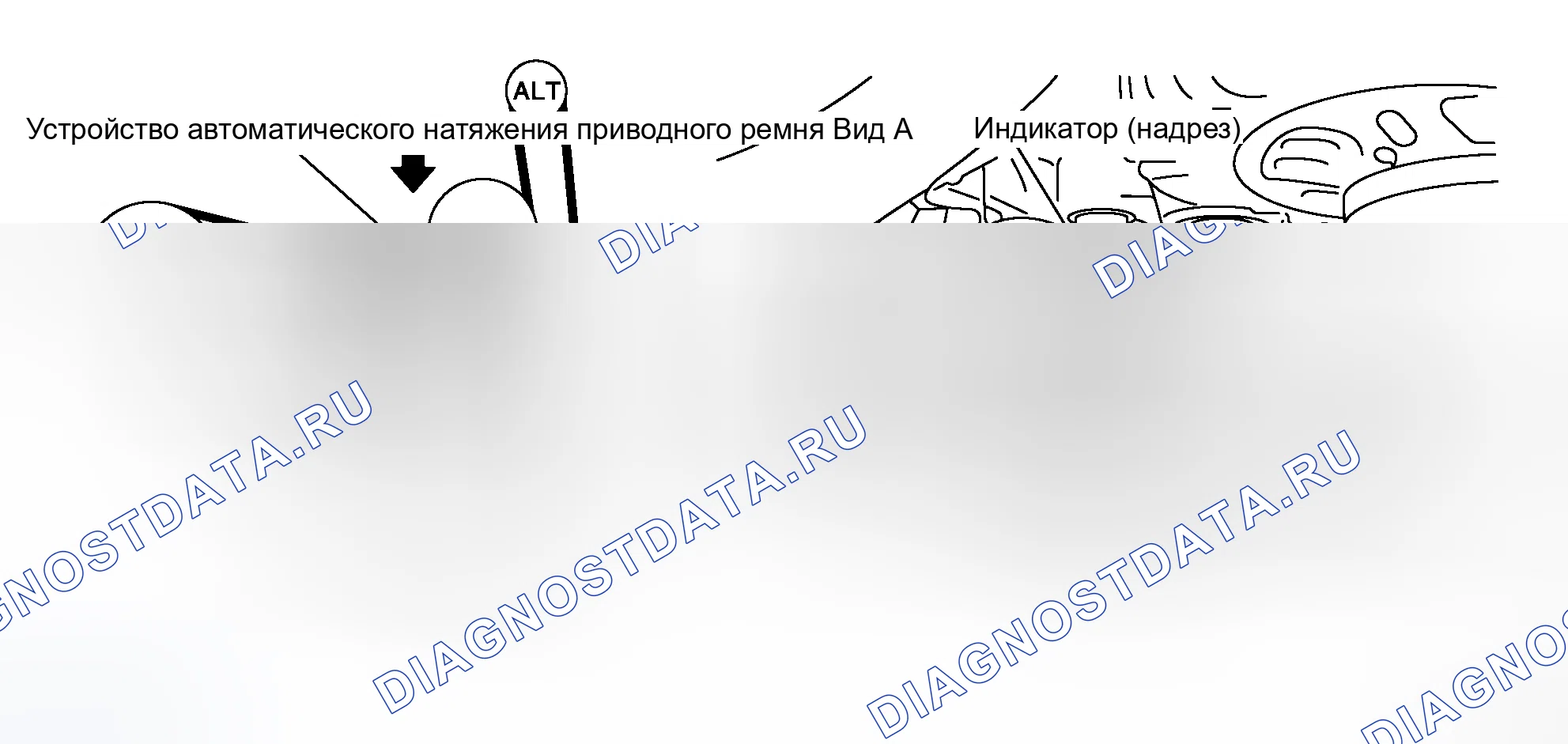 Рис. 230: Проверка приводных ремней. Honda Stepwgn I
