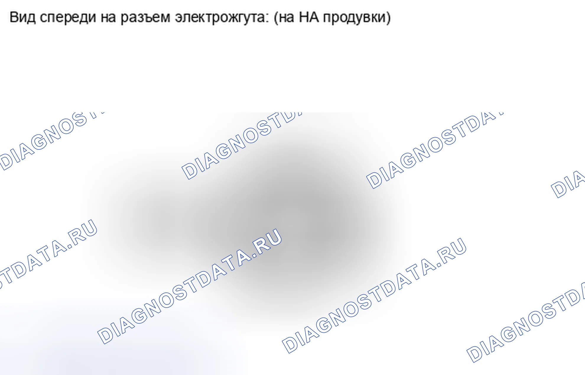 Рис. 318. Scion xD I