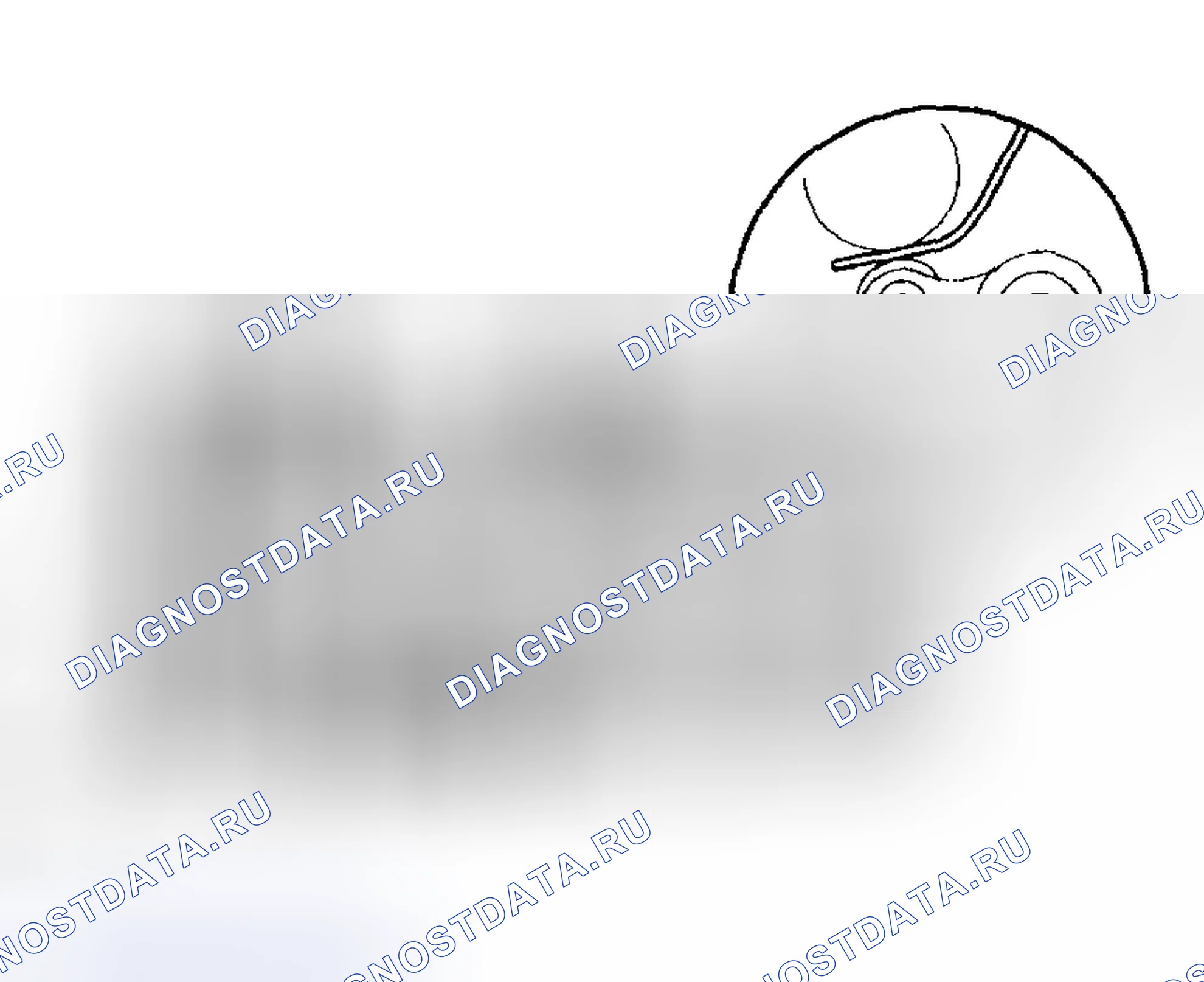 Рис. 466: РЕГУЛИРОВКА приводных ремней навесного оборудования двигателя. Toyota Matrix E130