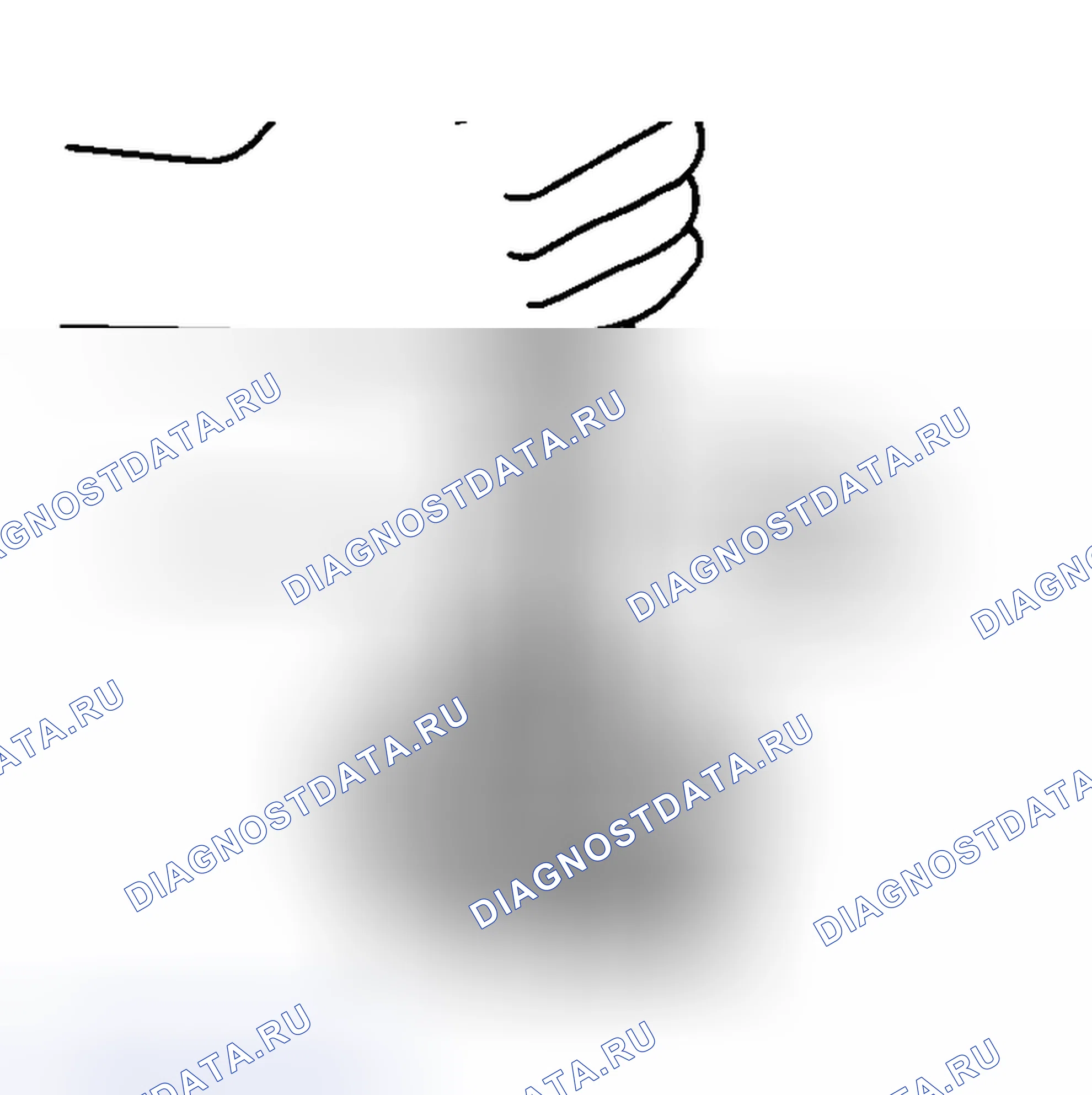 Рис. 36. Honda That S I