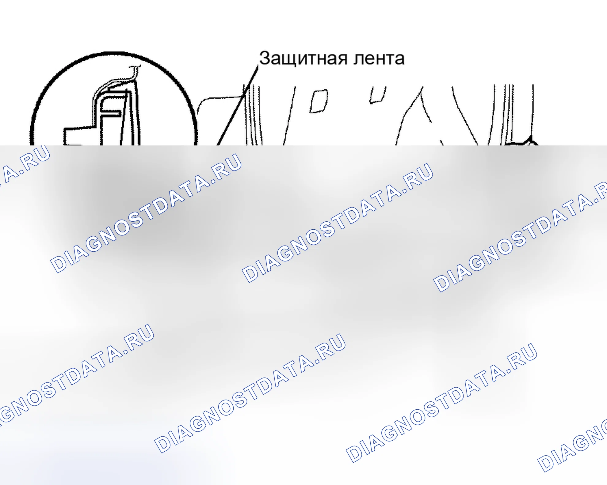 Рис. 7. Scion xB I