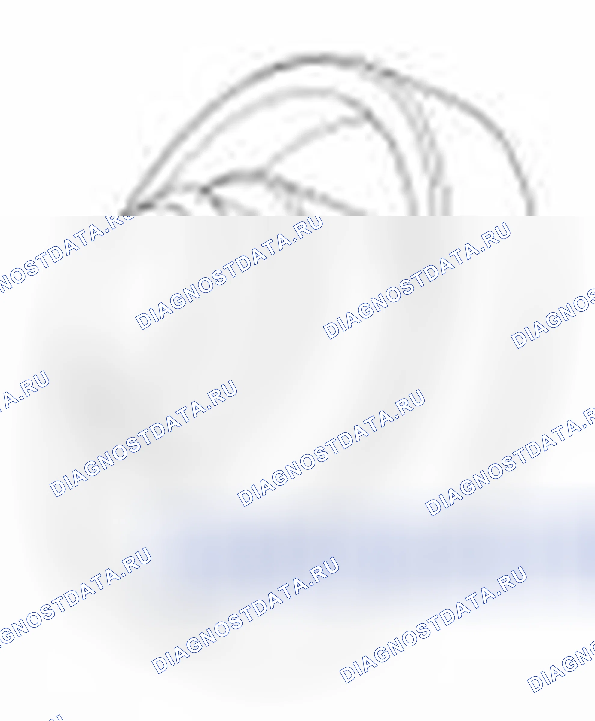 Рис. 103. Haval Beast (Shenshou) I