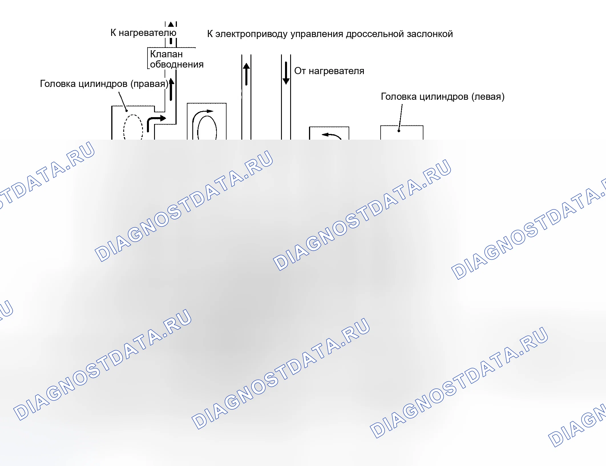 Рис. 22: Контур охлаждения. Infiniti QX56 I