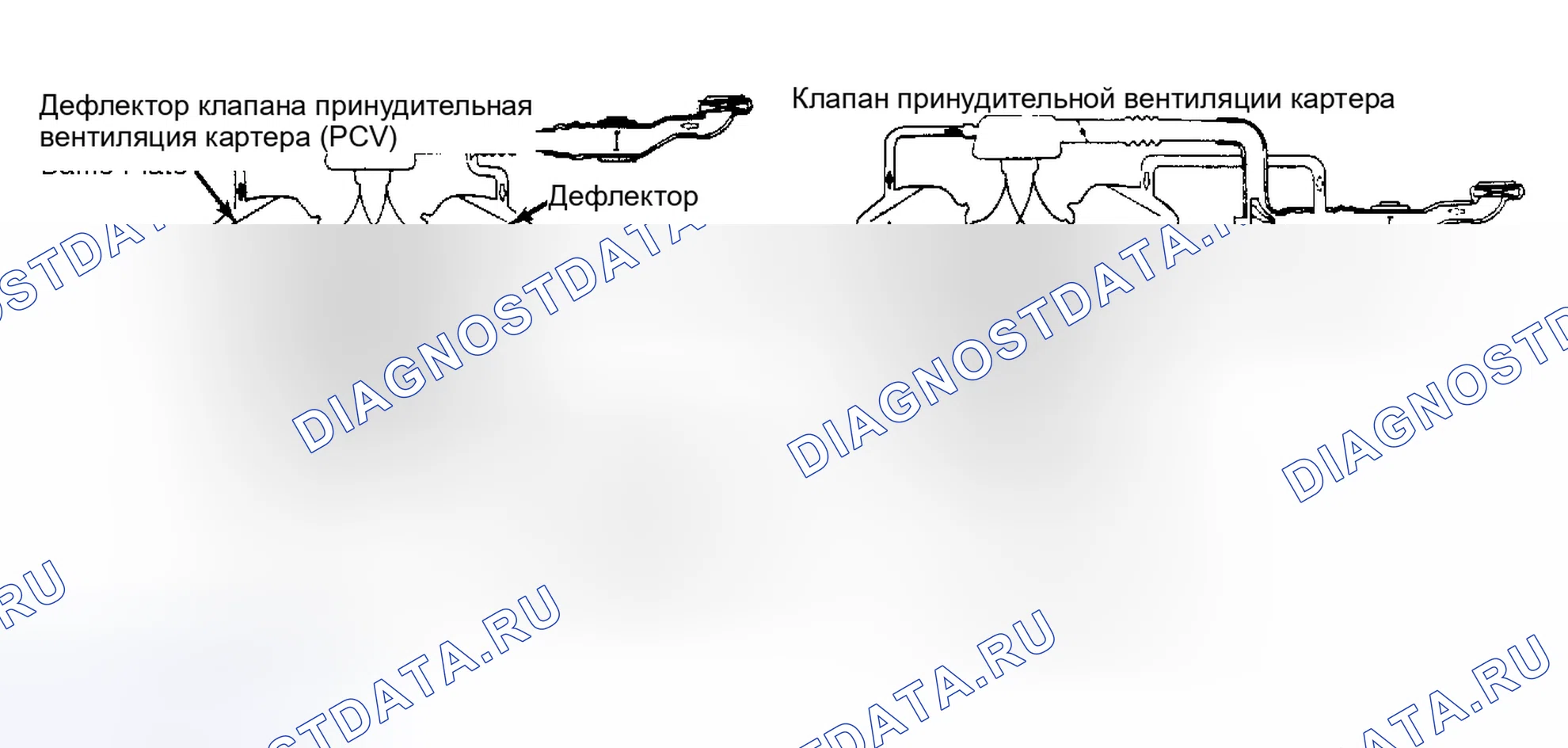 Рис. 3: Система вентиляции картера (300ZX, Maxima) Обратите внимание на направление потока.. Nissan 200SX S12