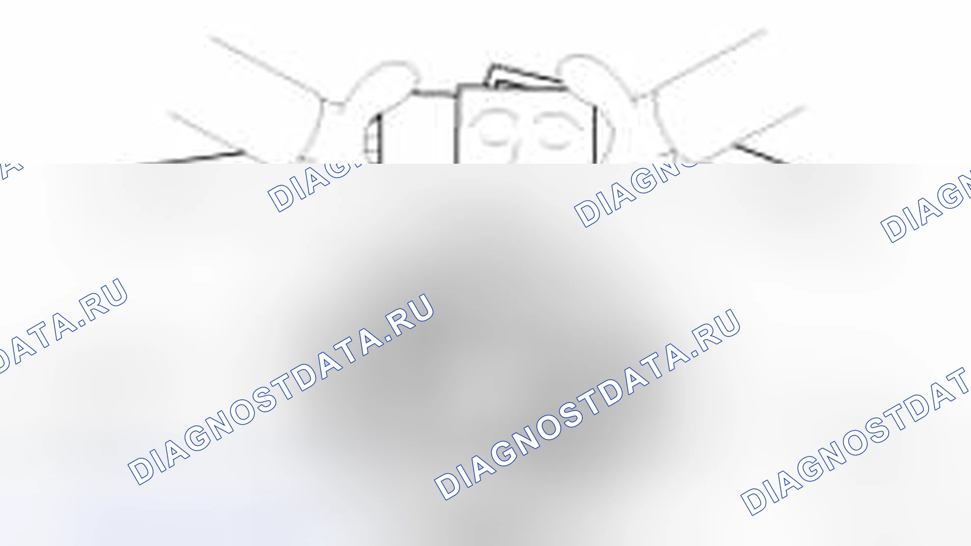 Рис. 40. Geely Vision X3 Pro I