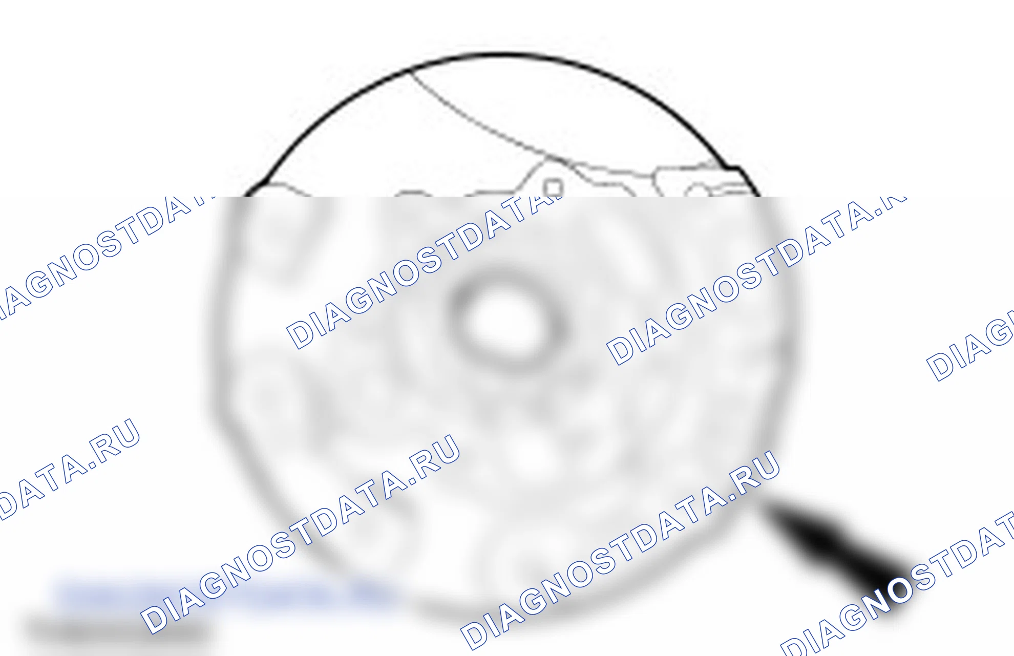 Разборка узла насоса в сборе. Ford C-MAX I рестайлинг