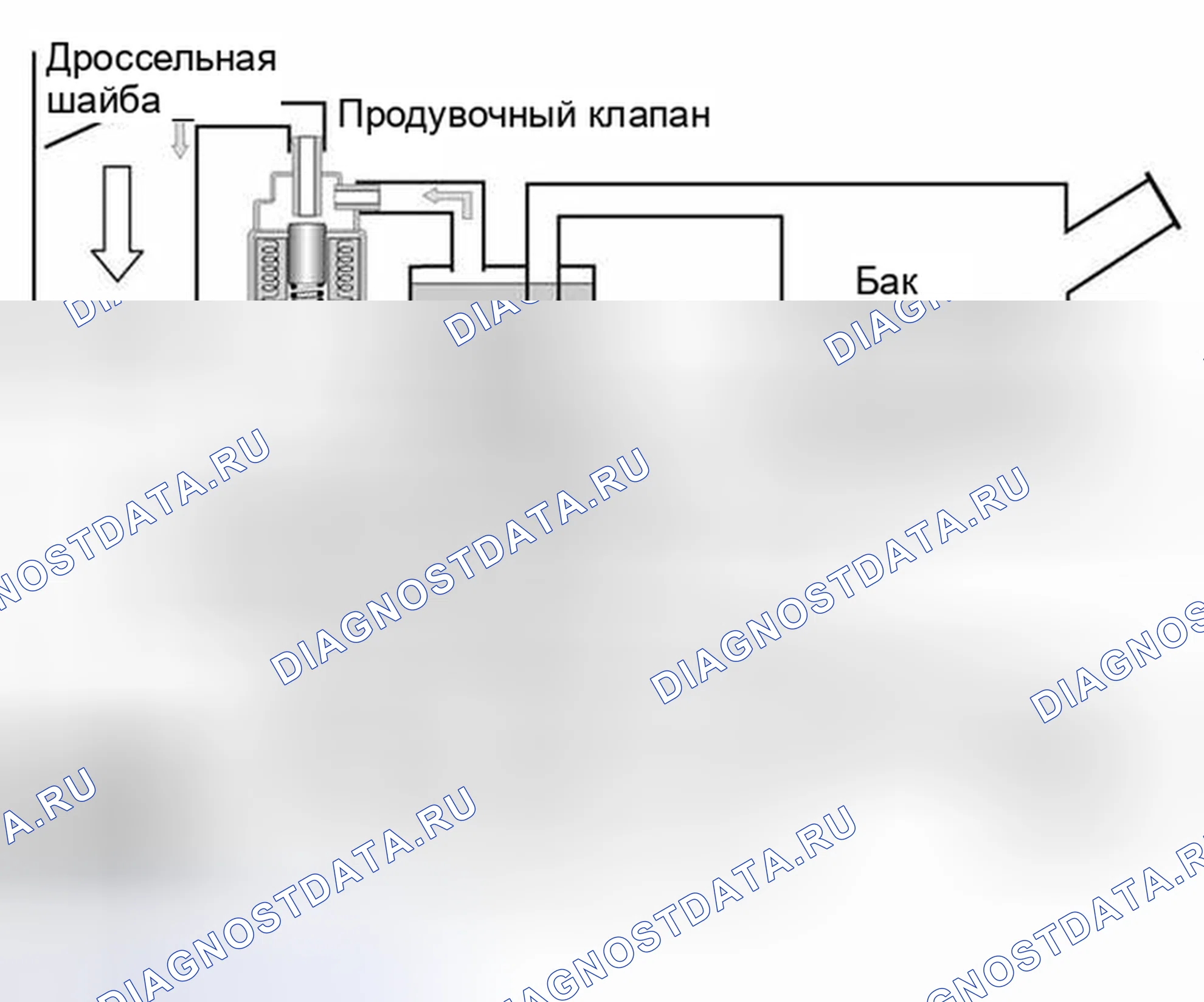 Рис. 86: ФУНКЦИЯ. BMW M5 E39