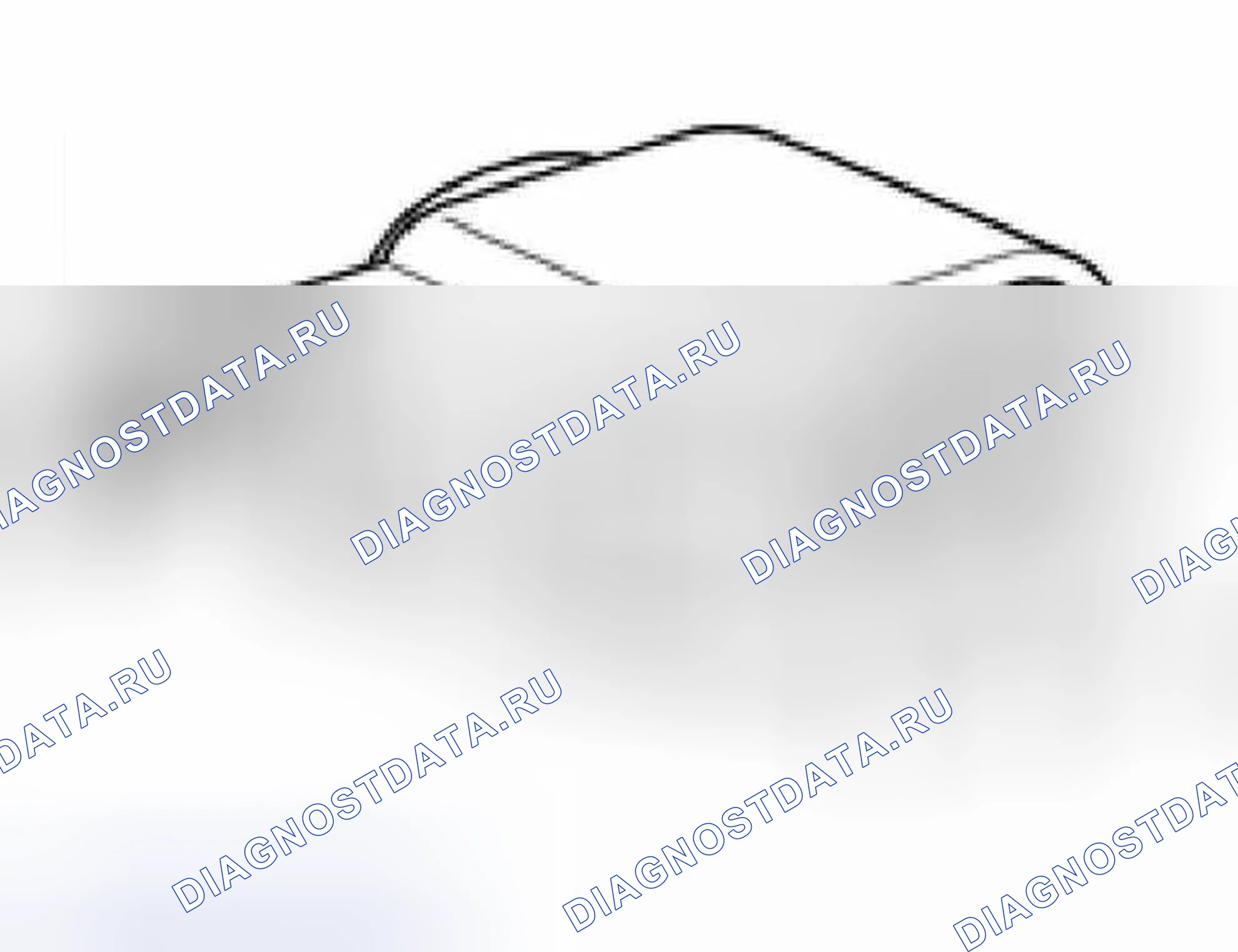 Рис. 418: Проверка активации. Audi A6 C5 рестайлинг