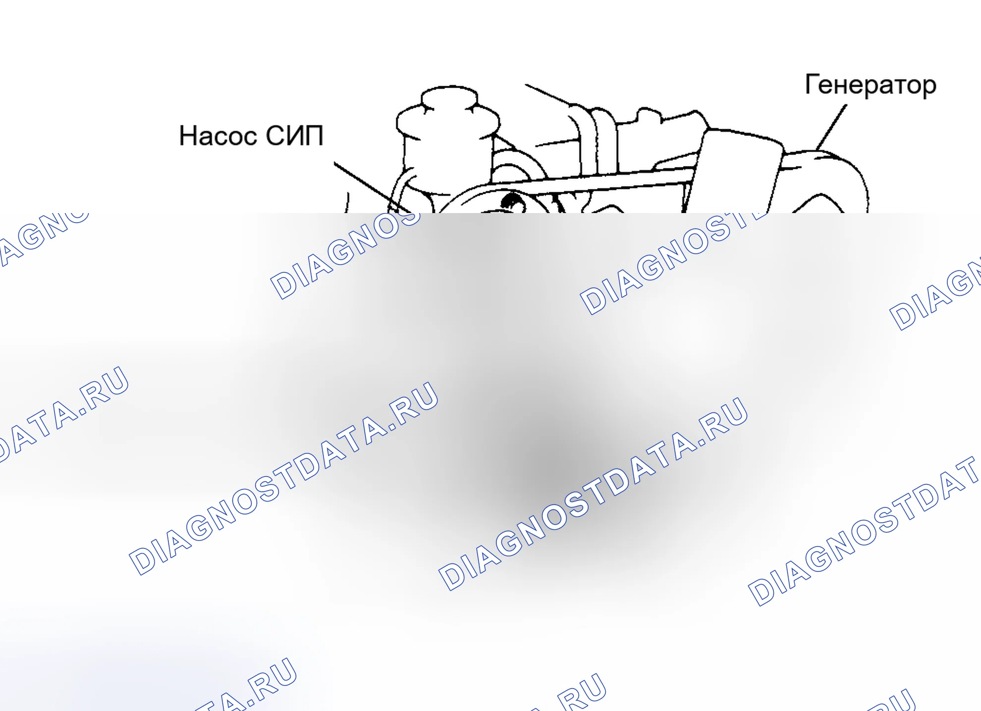 Рис. 13: Трассировка приводного ремня (LAND CRUISER 3F-E). Toyota Corolla VI